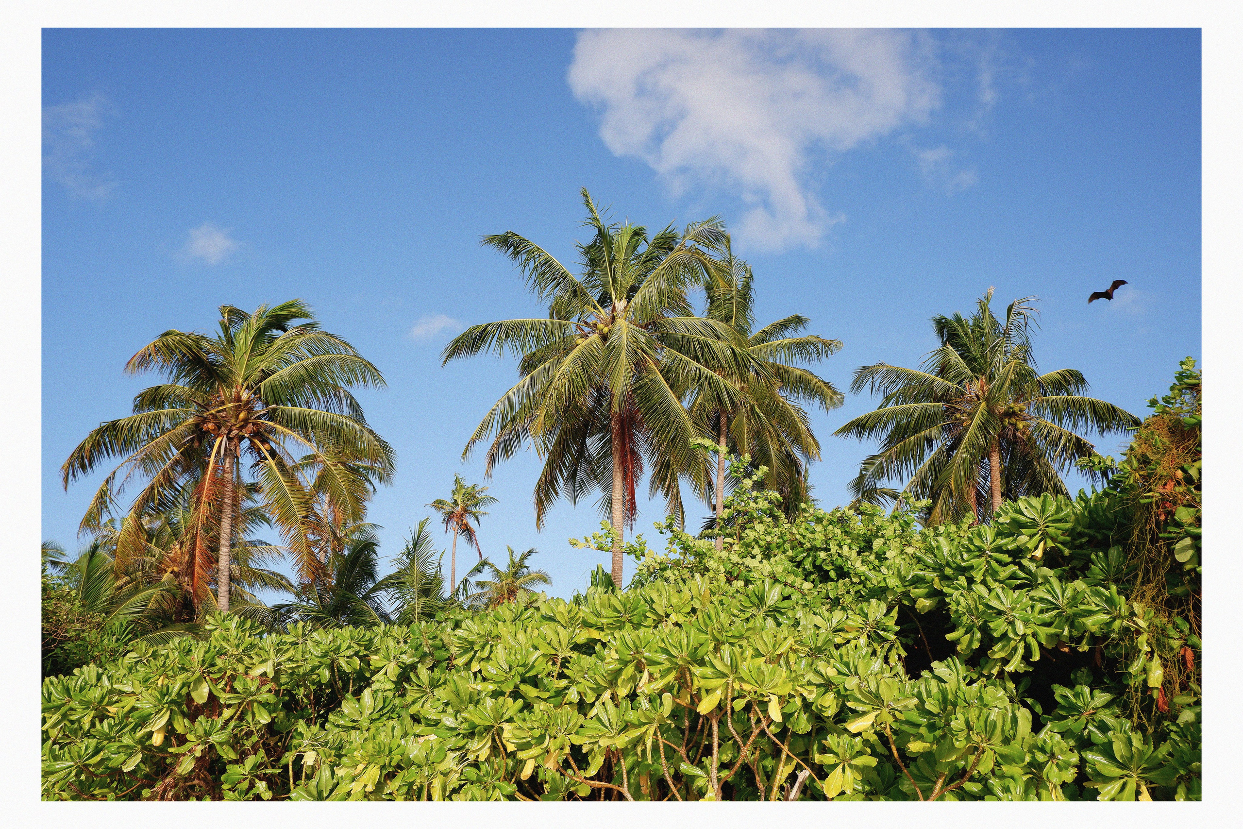 MALDIVES&BAHRAIN. ANNA — PHOTOGRAPHER