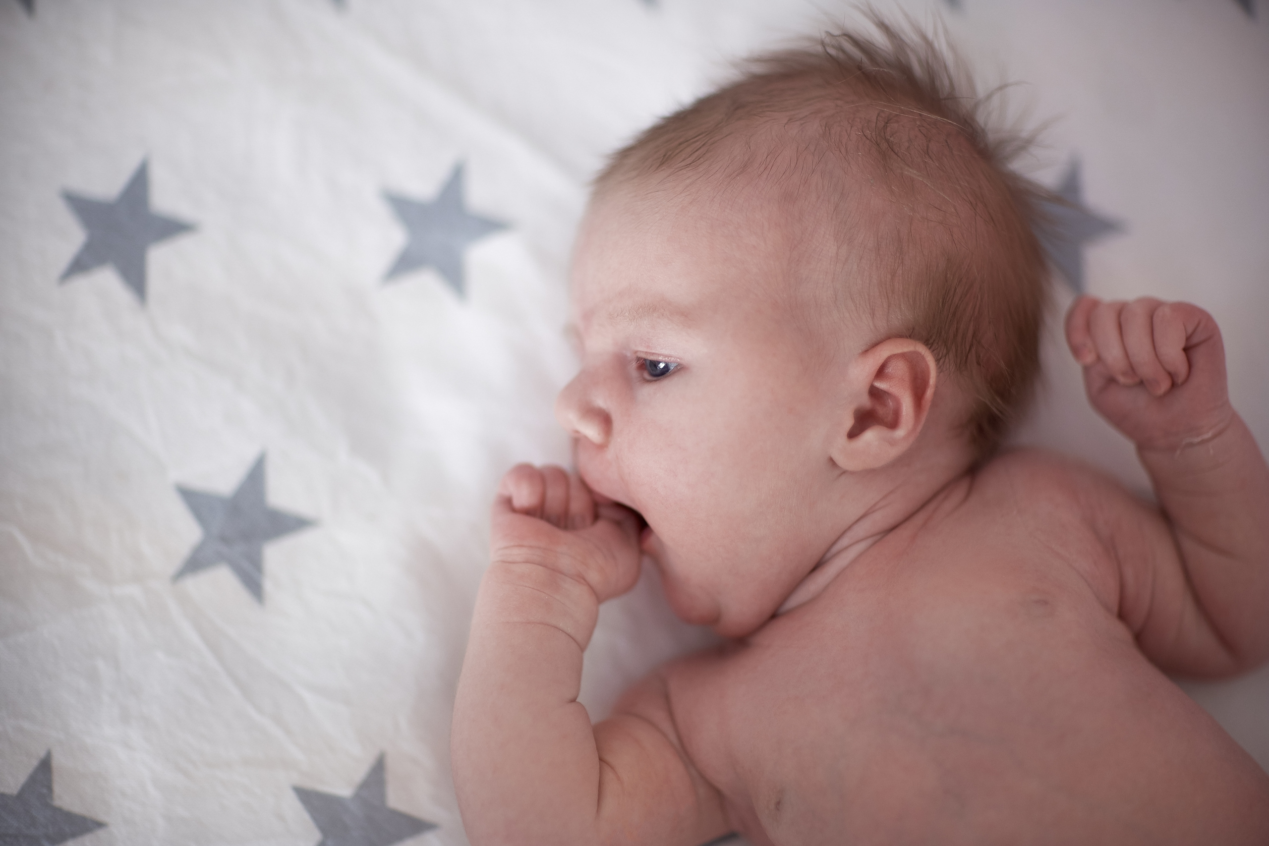 Региша. Nadia Fay