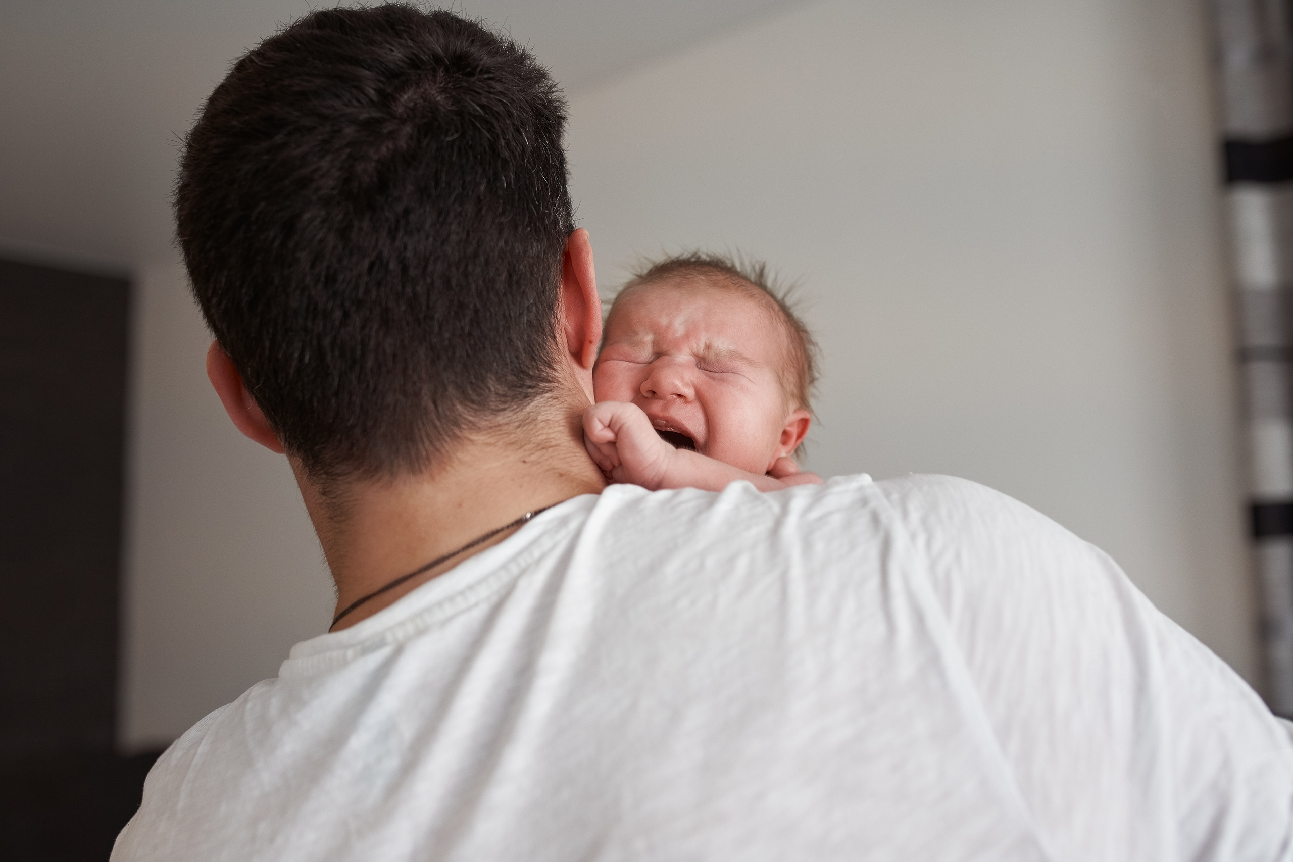 Региша. Nadia Fay