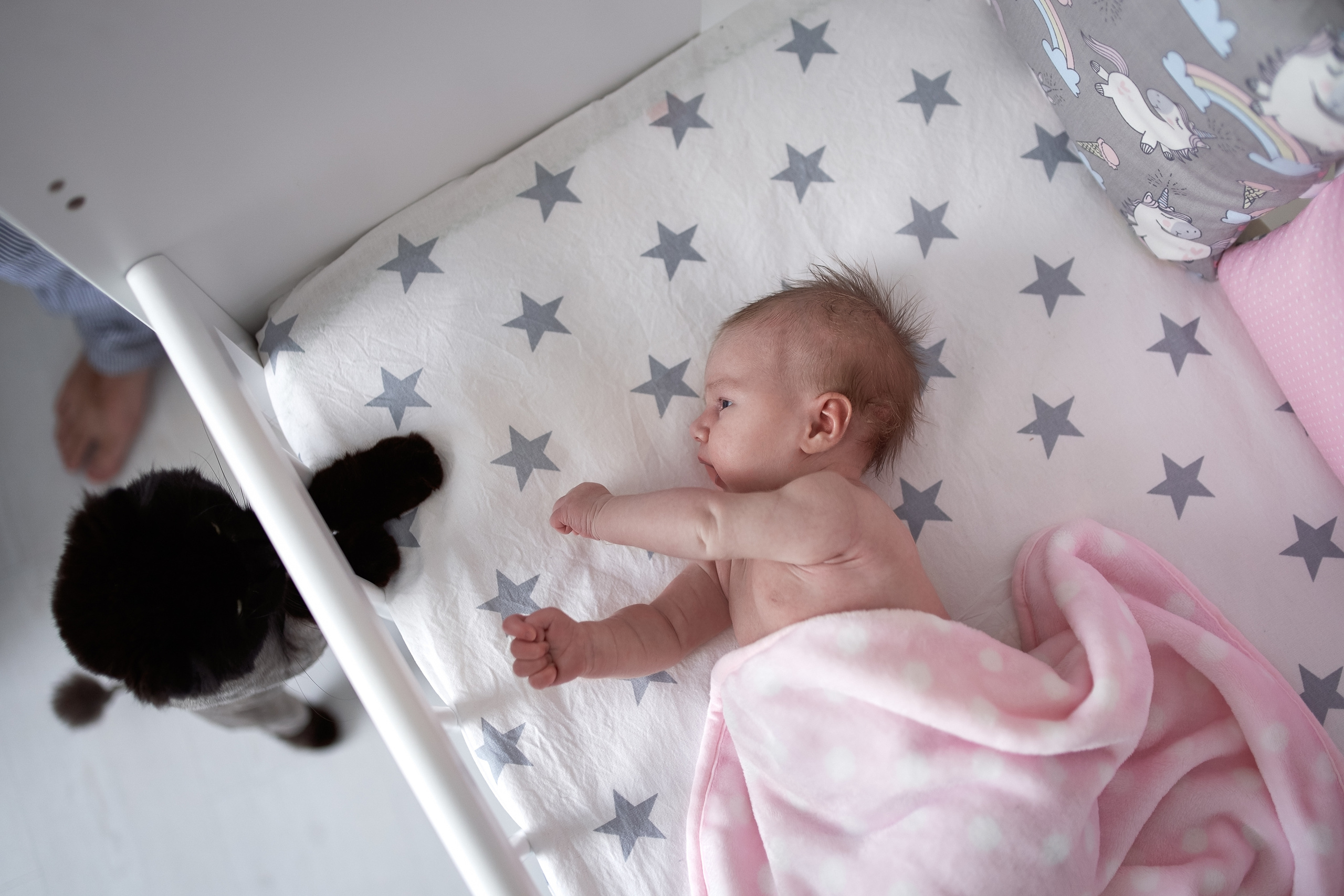 Региша. Nadia Fay