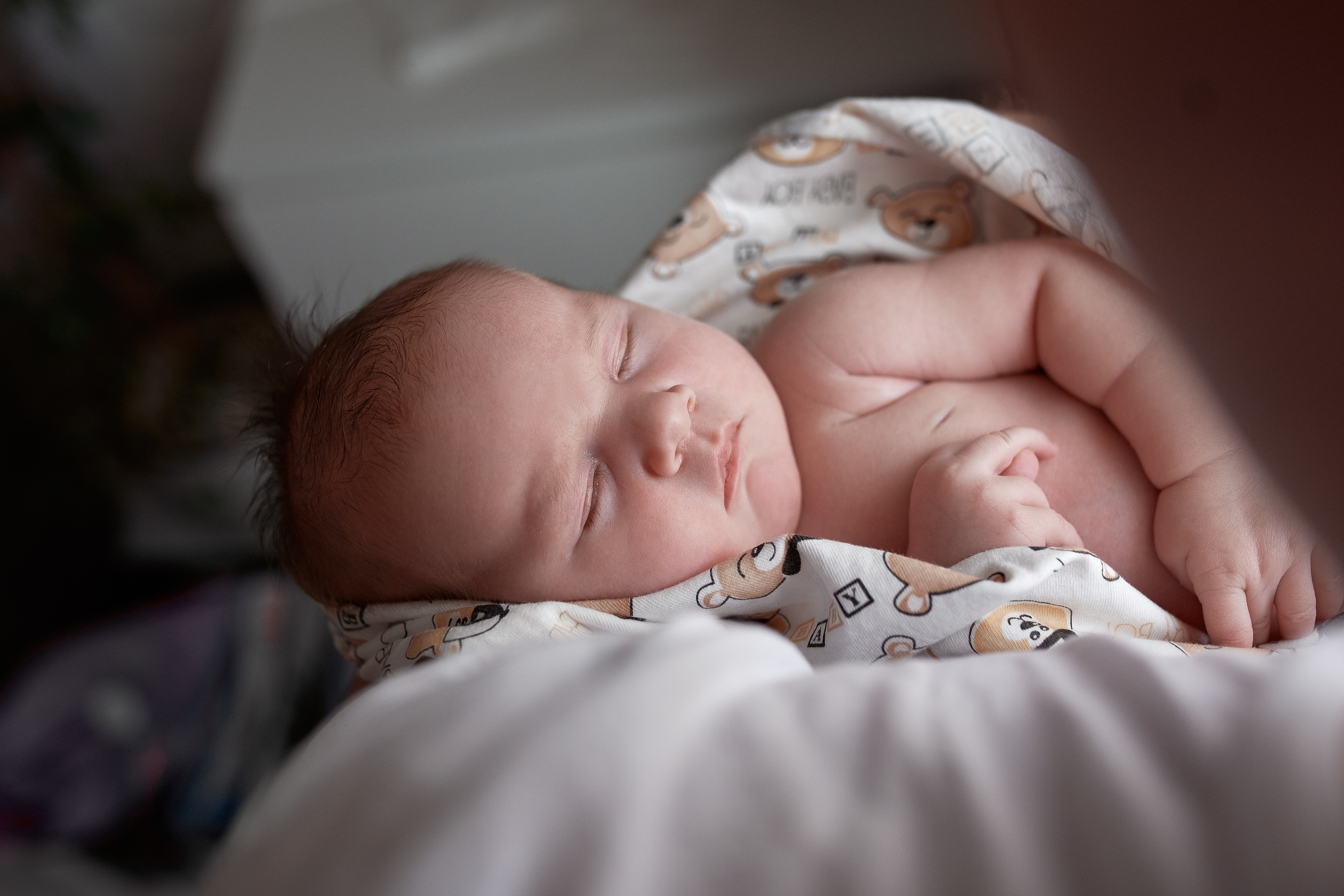 Региша. Nadia Fay