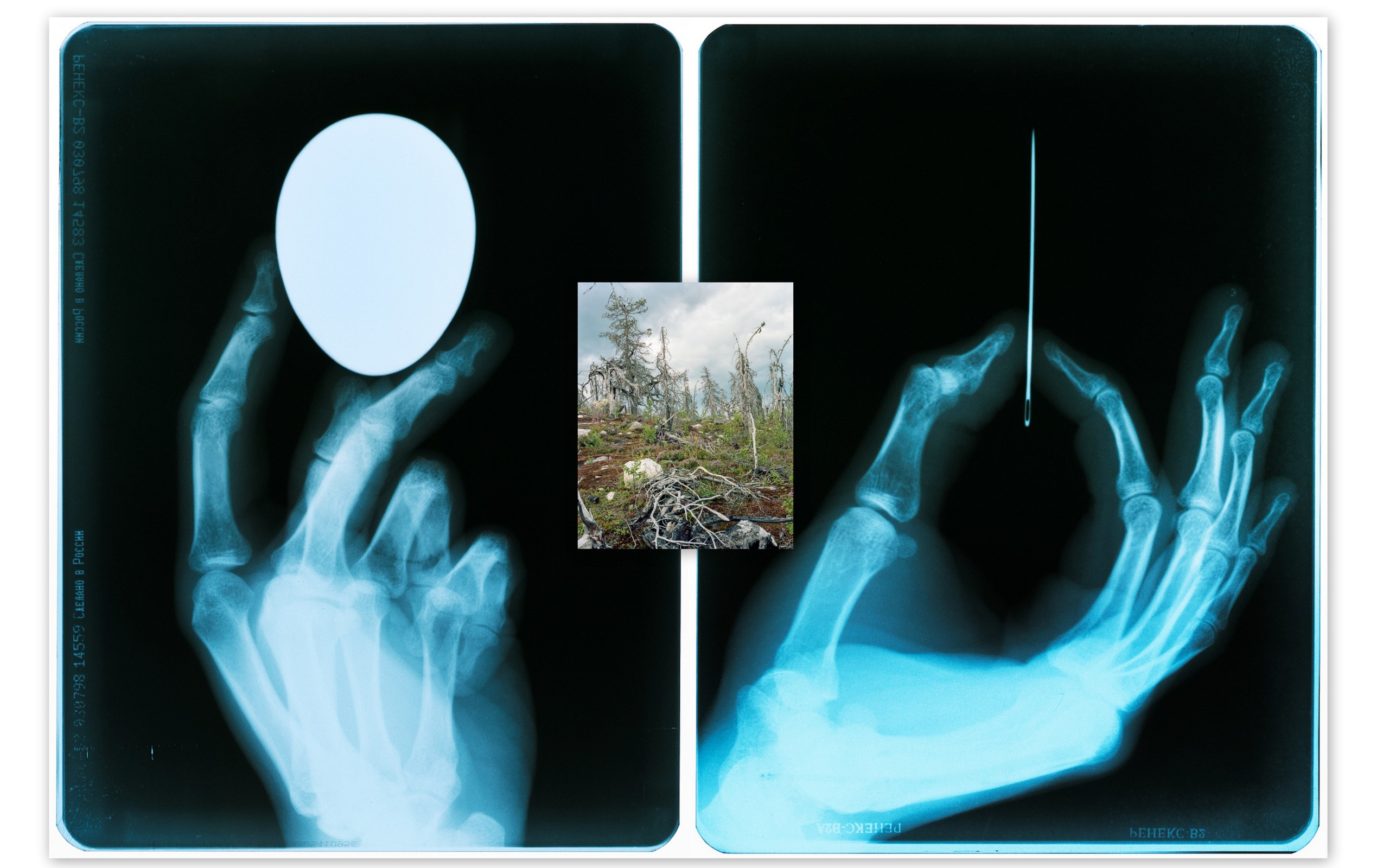 Андрей Иванов Персональная выставка