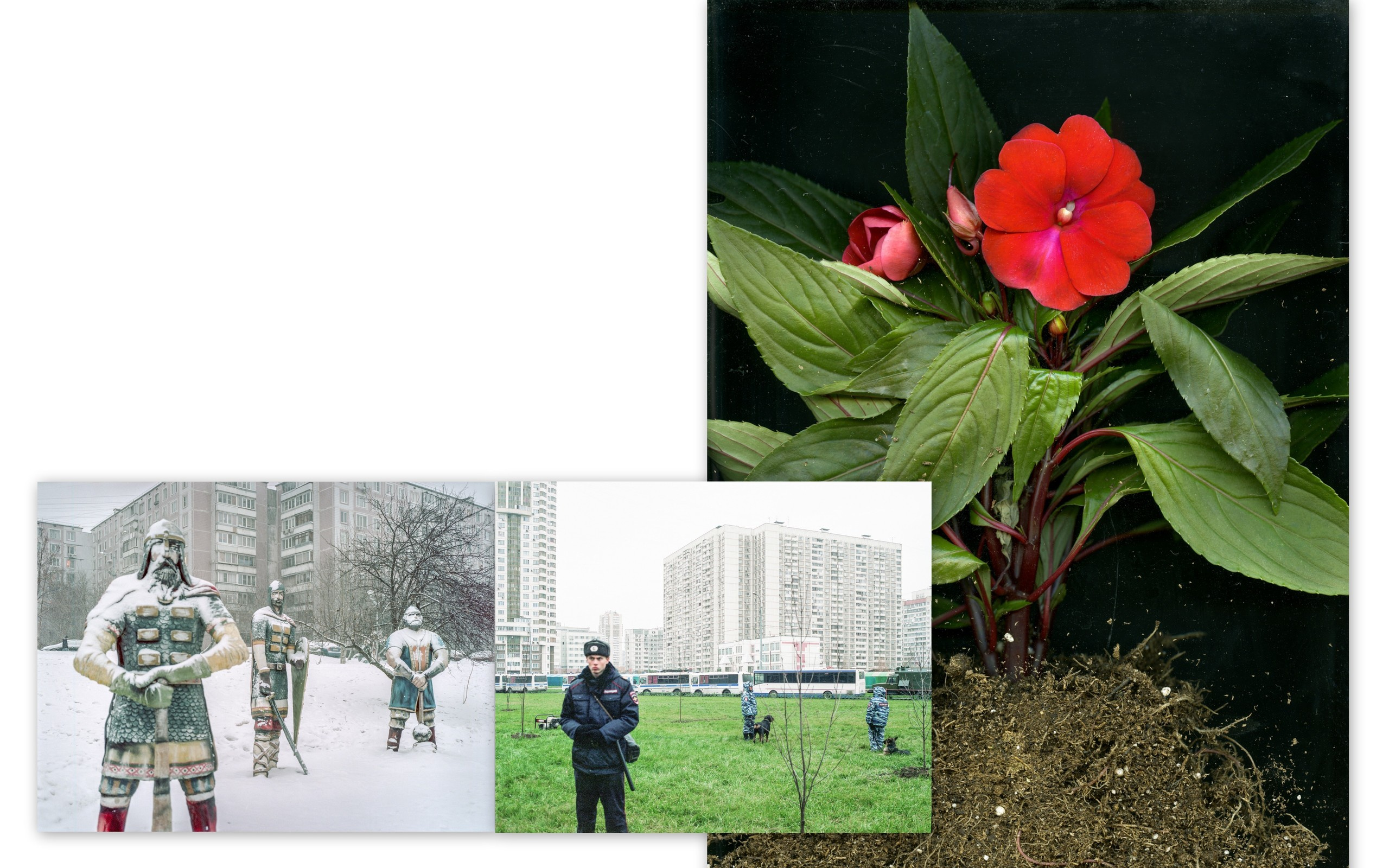 Андрей Иванов Персональная выставка