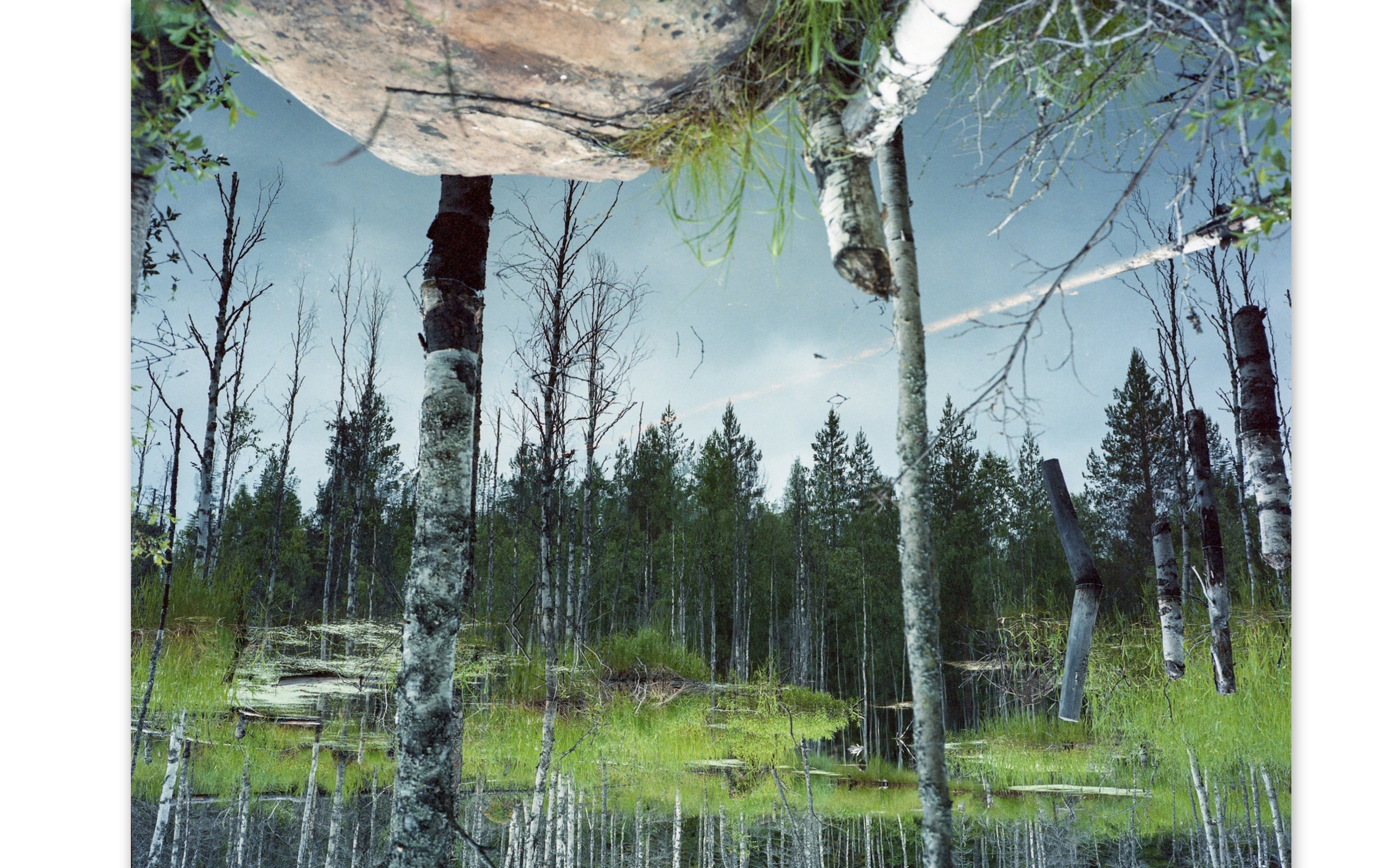 Андрей Иванов Персональная выставка