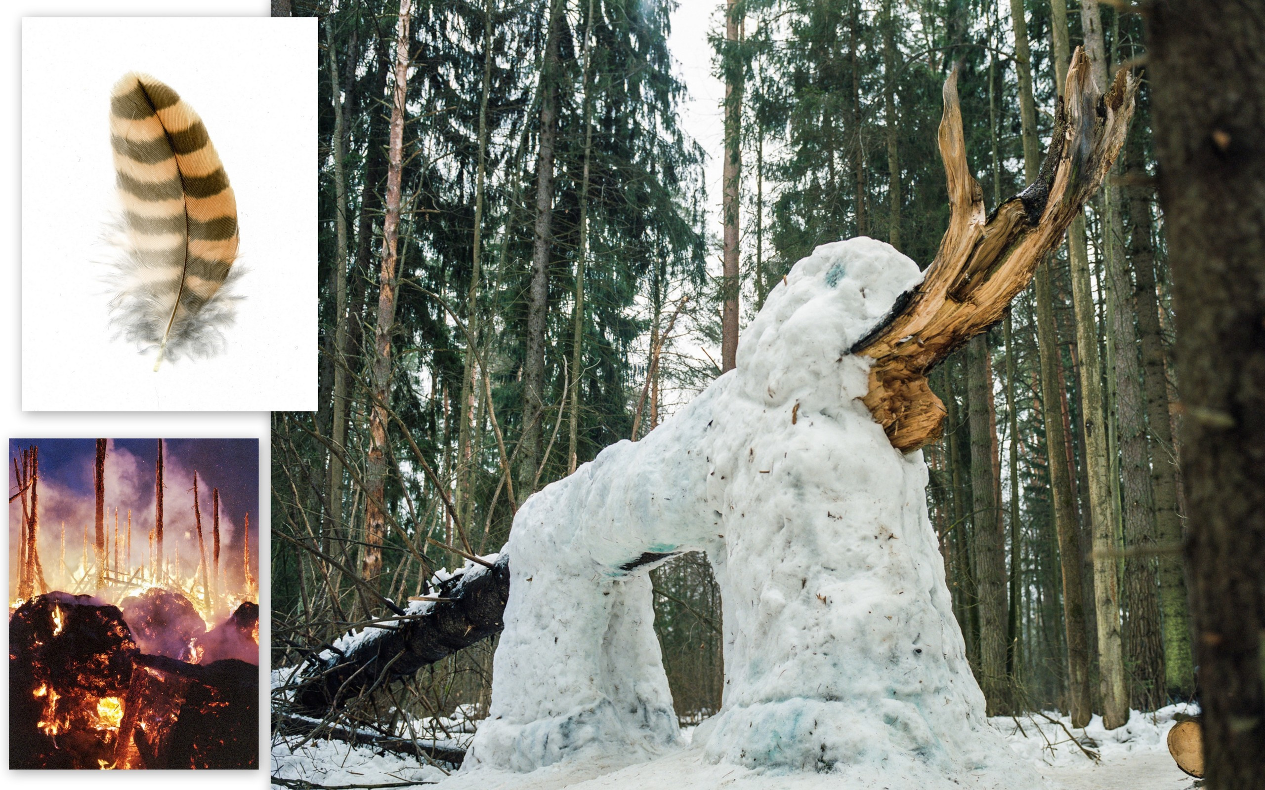 Андрей Иванов Персональная выставка