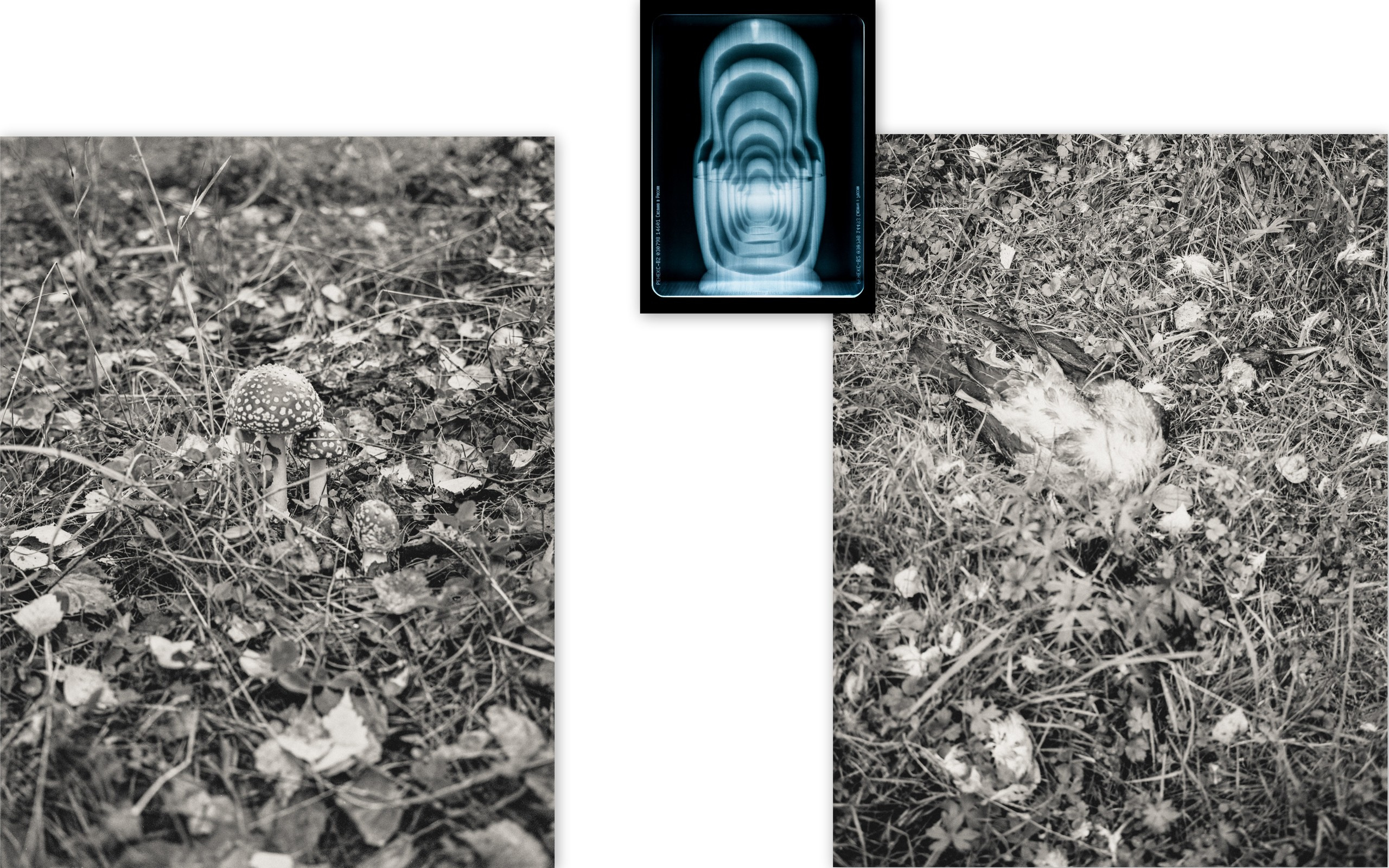 Андрей Иванов Персональная выставка