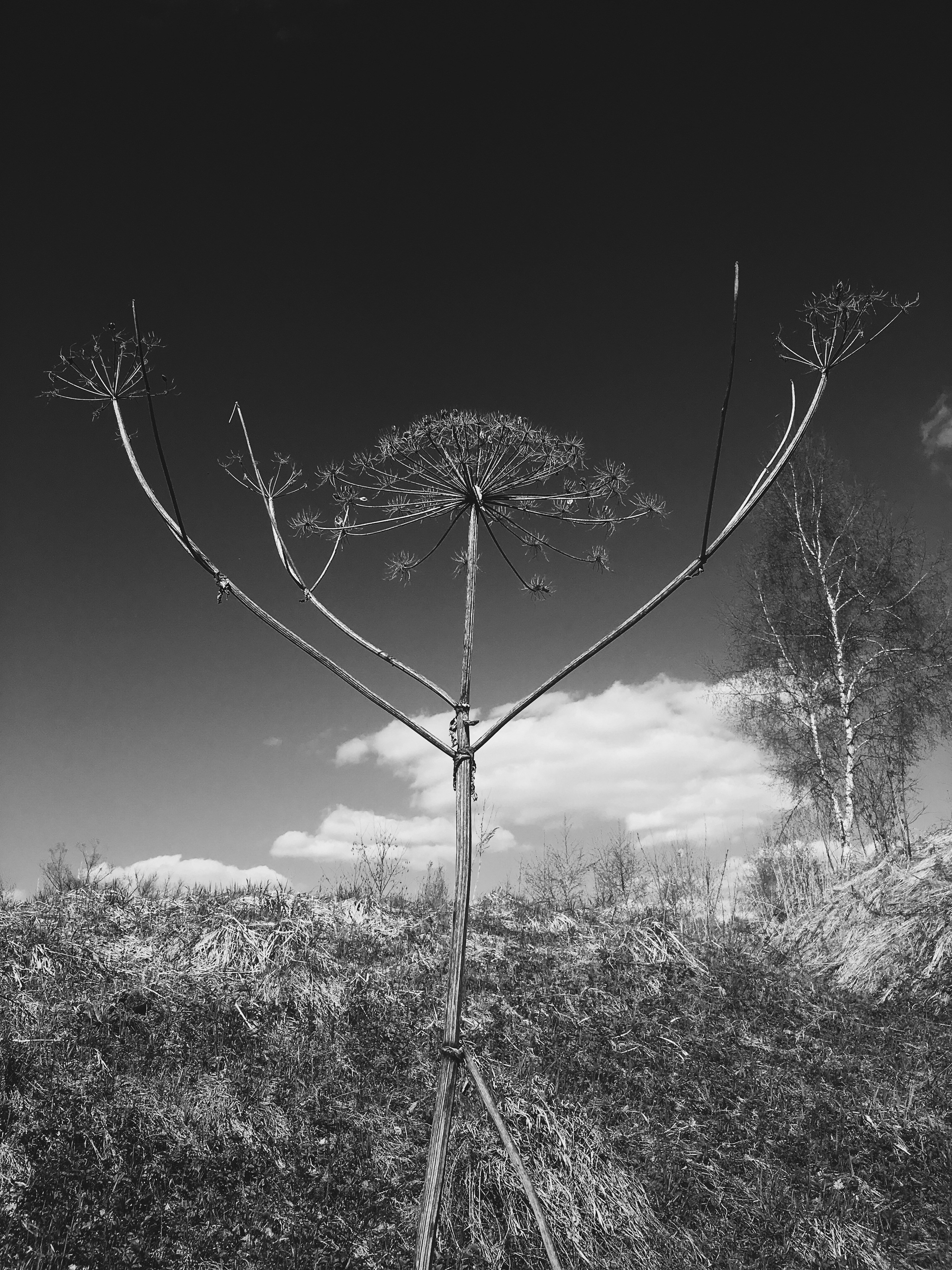 Визуальный дневник. Портретный фотограф в Москве Гахраманова Екатерина