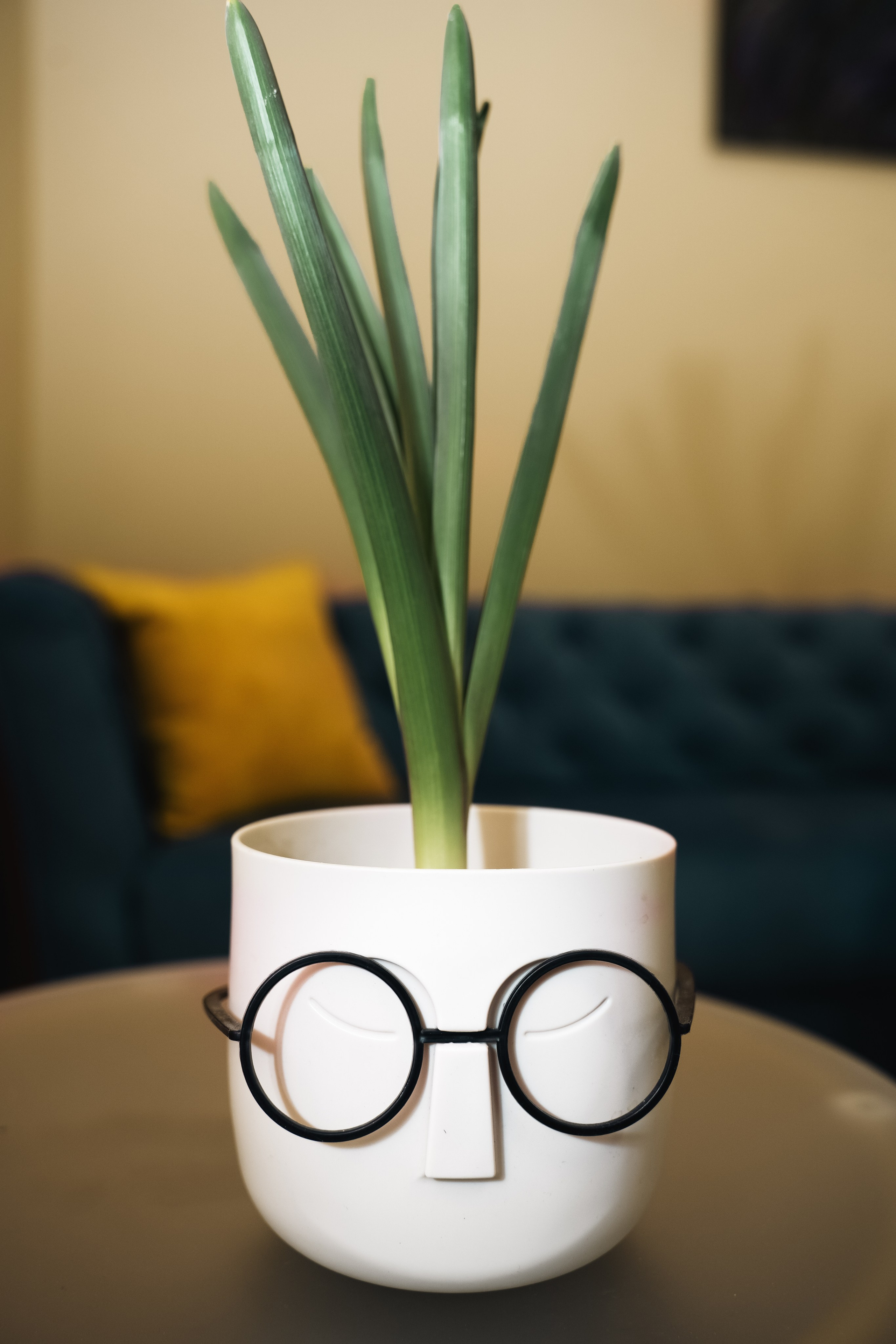 К о с м е т о л о г и я. Контент фотограф в Москве Кулич Настя