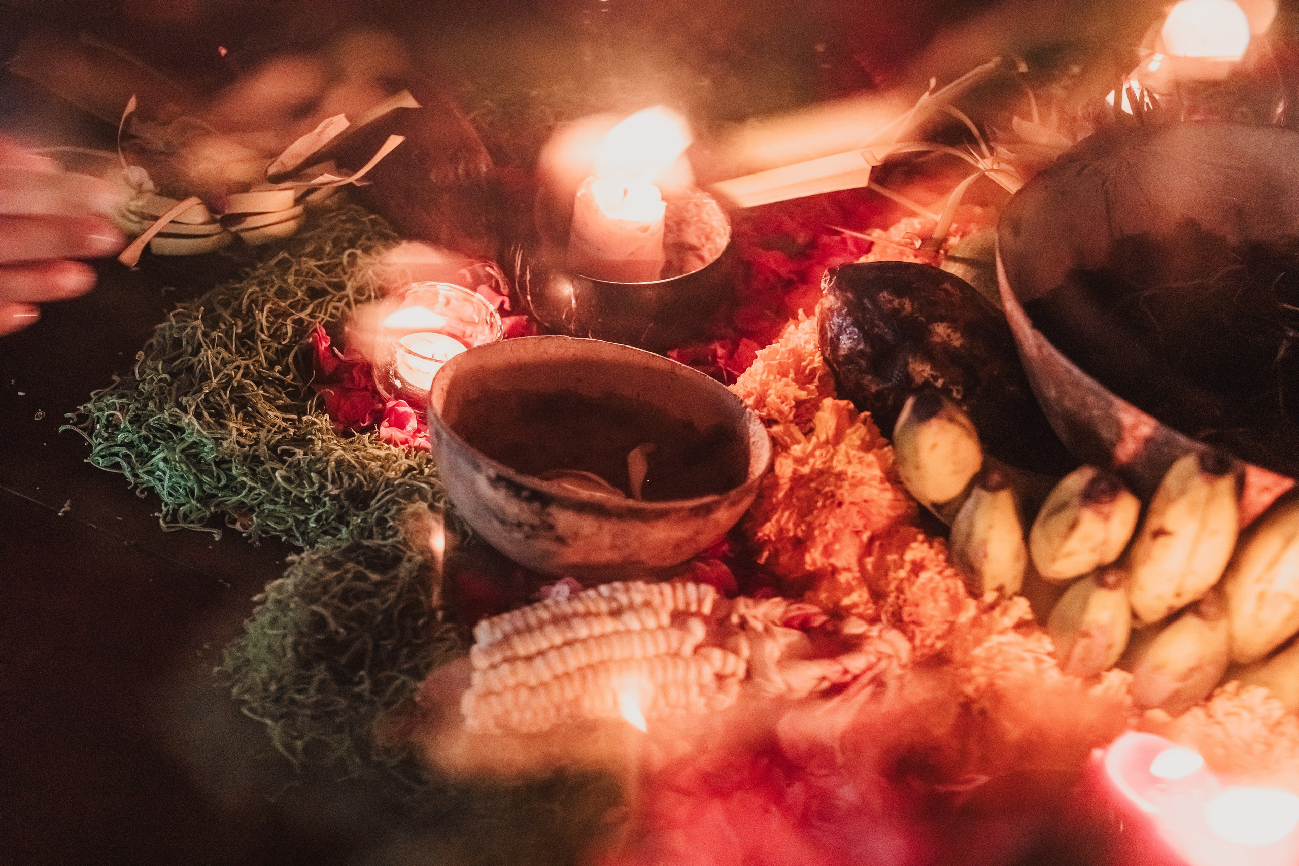 Cacao alchemy w Juan. Мариам Багдасарян