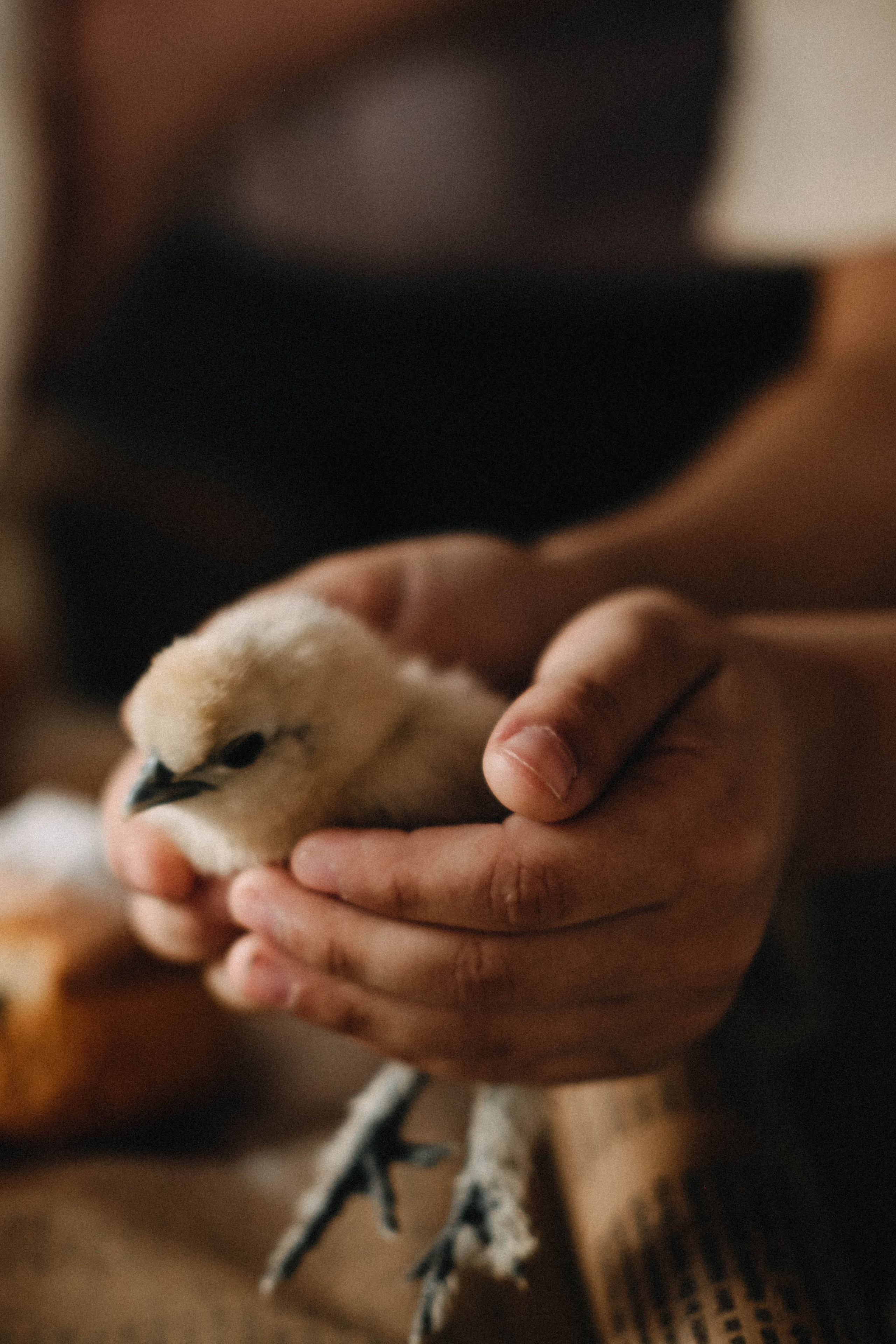 7. Свадебный фотограф Челябинск