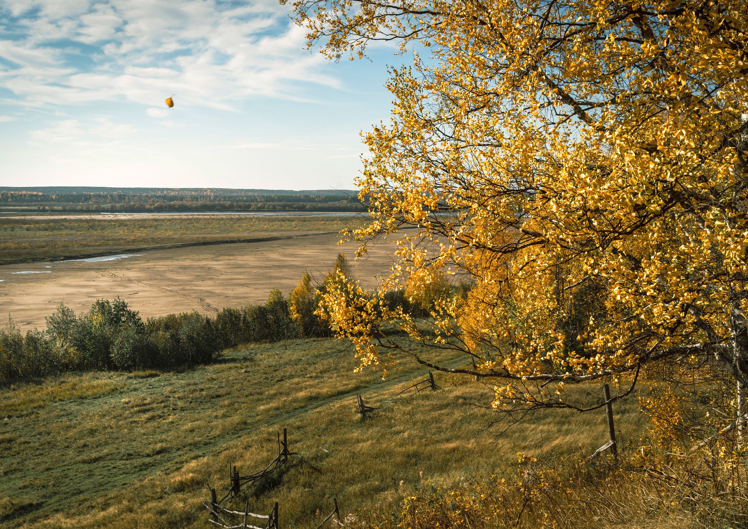 Осень. Фотограф в с. Ижма Республика Коми Терентьев Сергей