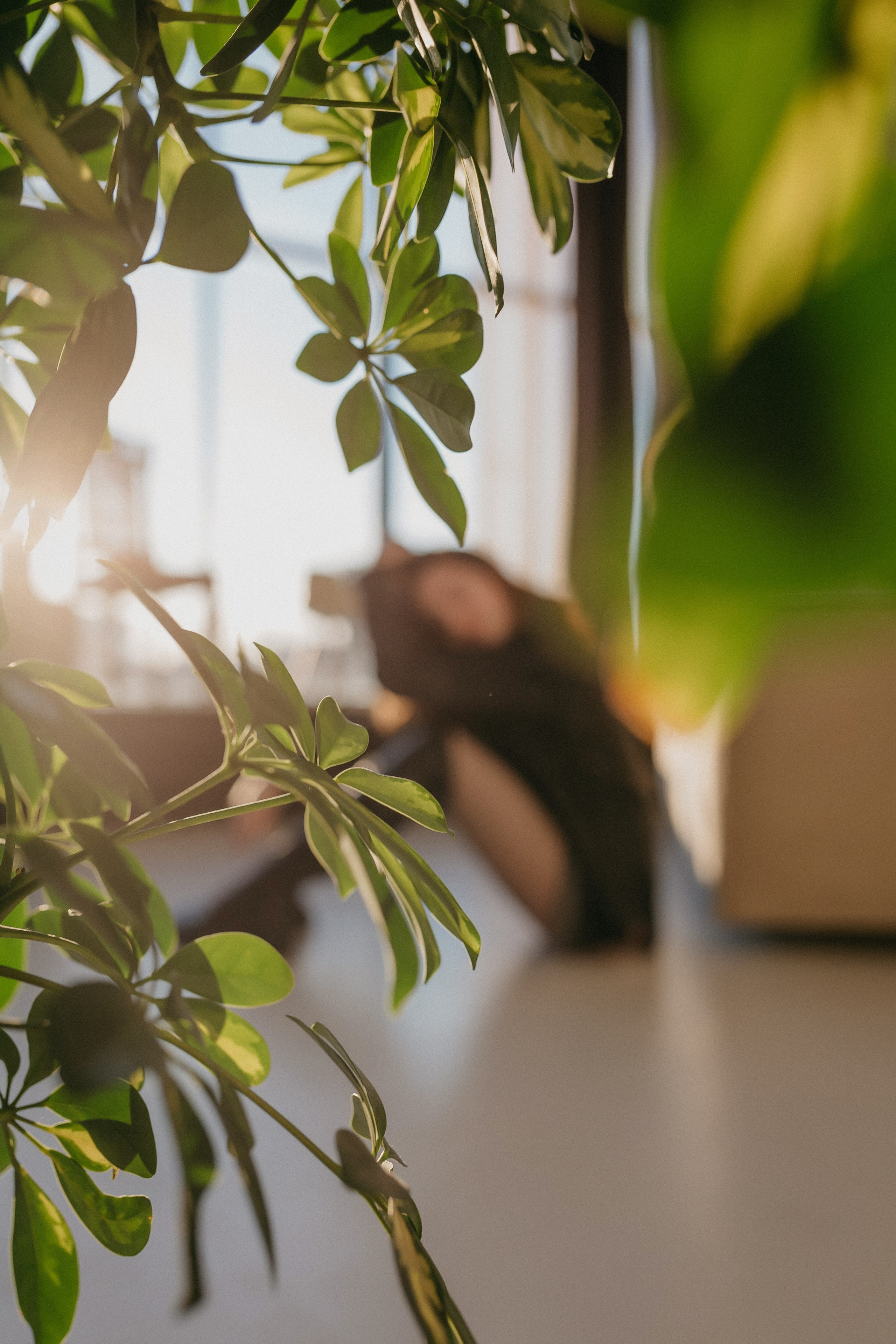 Варвара. Семейный фотограф в Сургуте