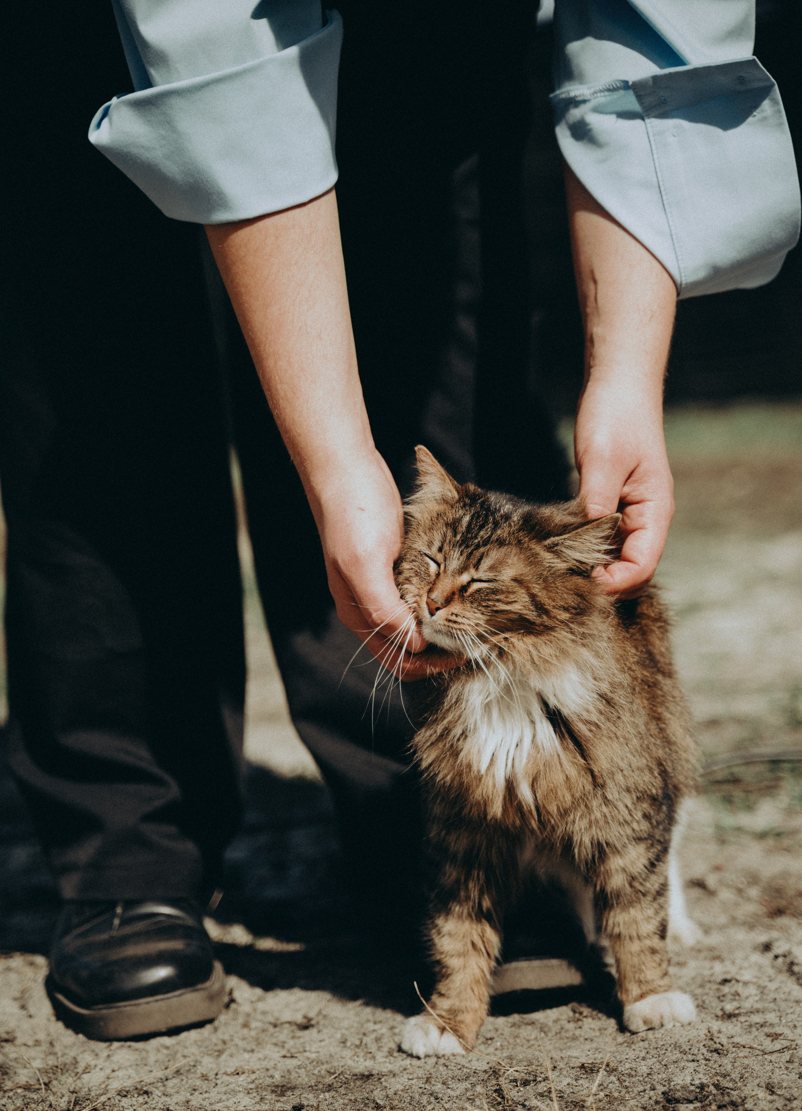 Полет. Свадебный и портретный фотограф в Брянске и Москве Алина Химушкина