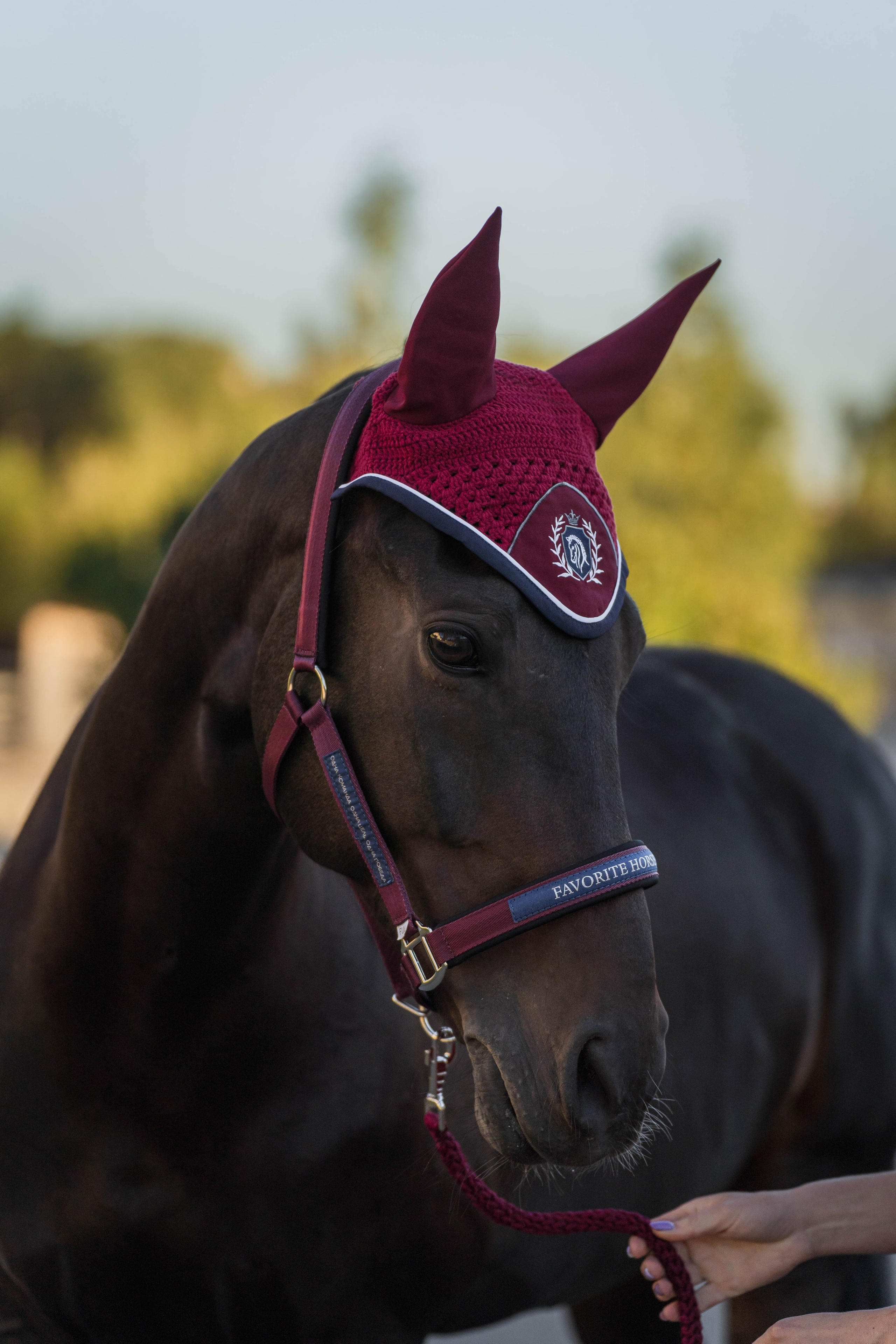 Конно-спортивная одежда. Фотограф в Москве Ленарская Дарья