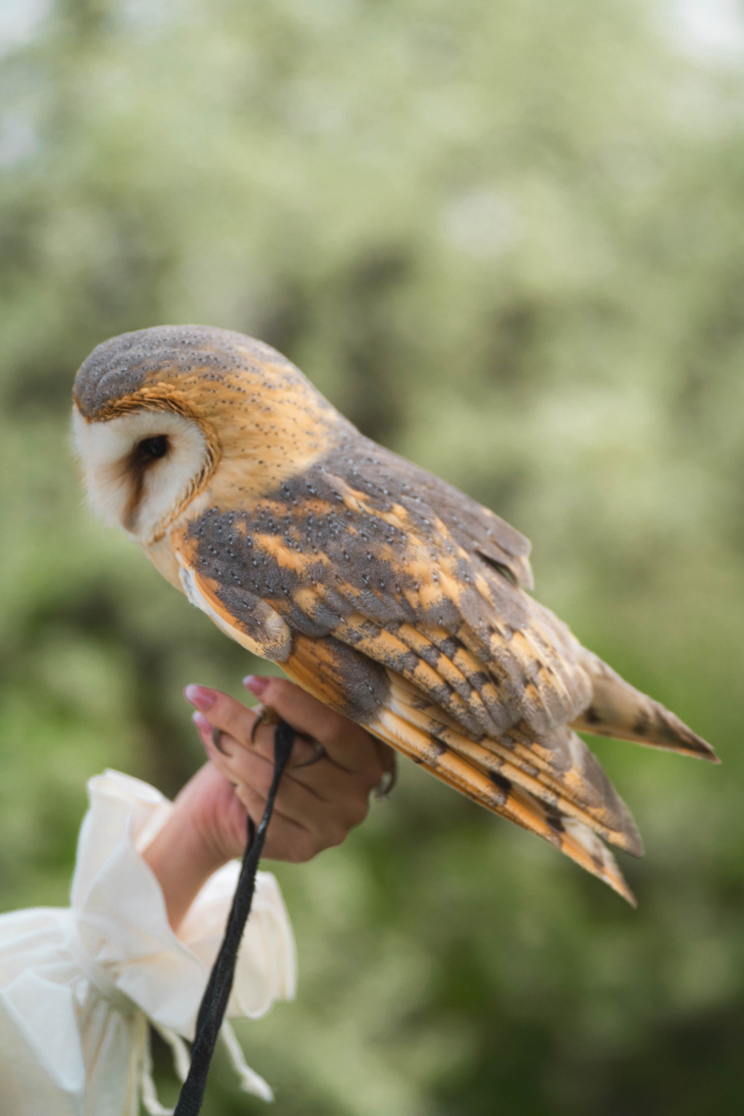 Милана. Фотограф в Москве Ленарская Дарья