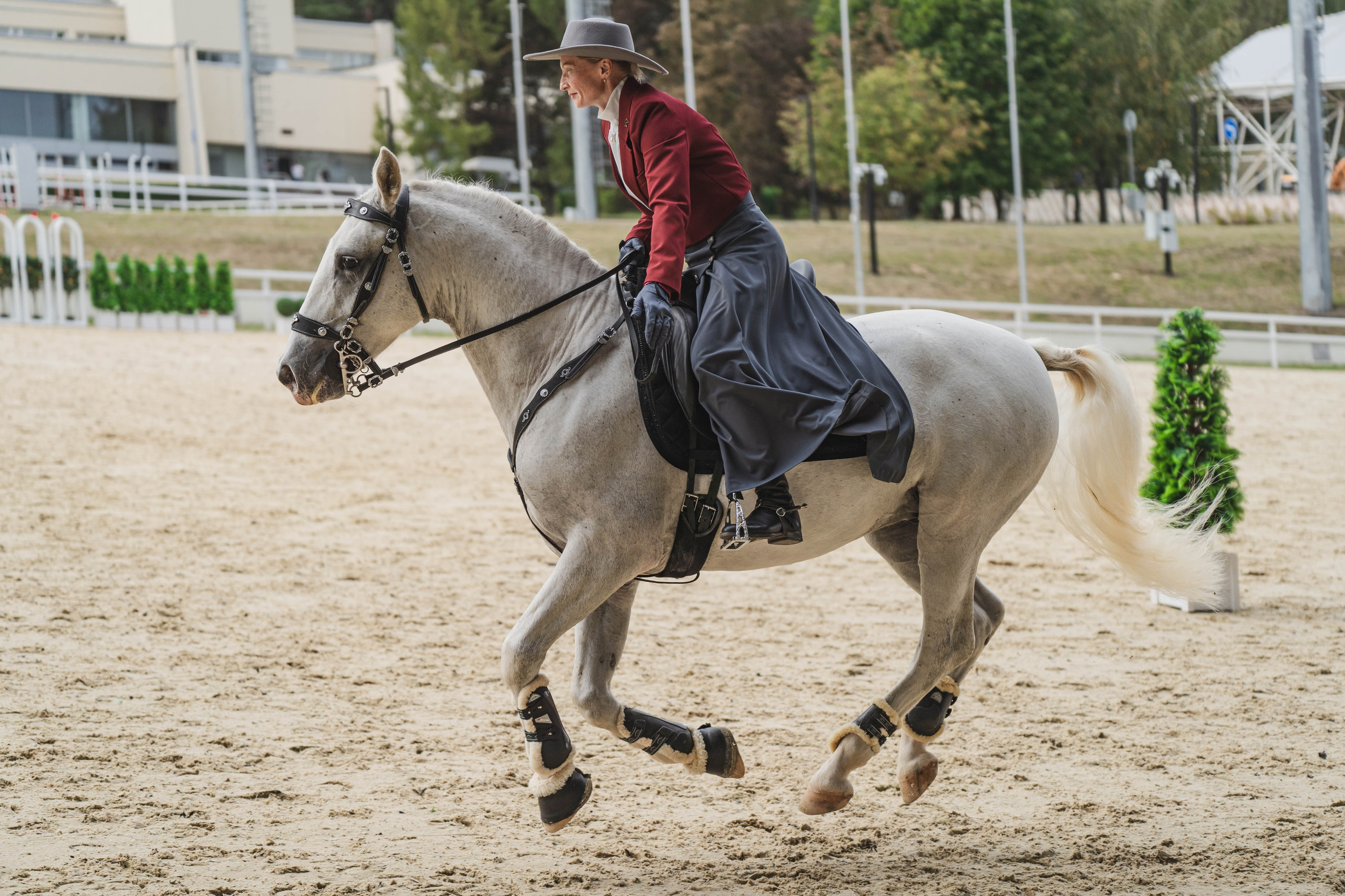 Мастер-класс по рабочей выездке. Фотограф в Москве Ленарская Дарья