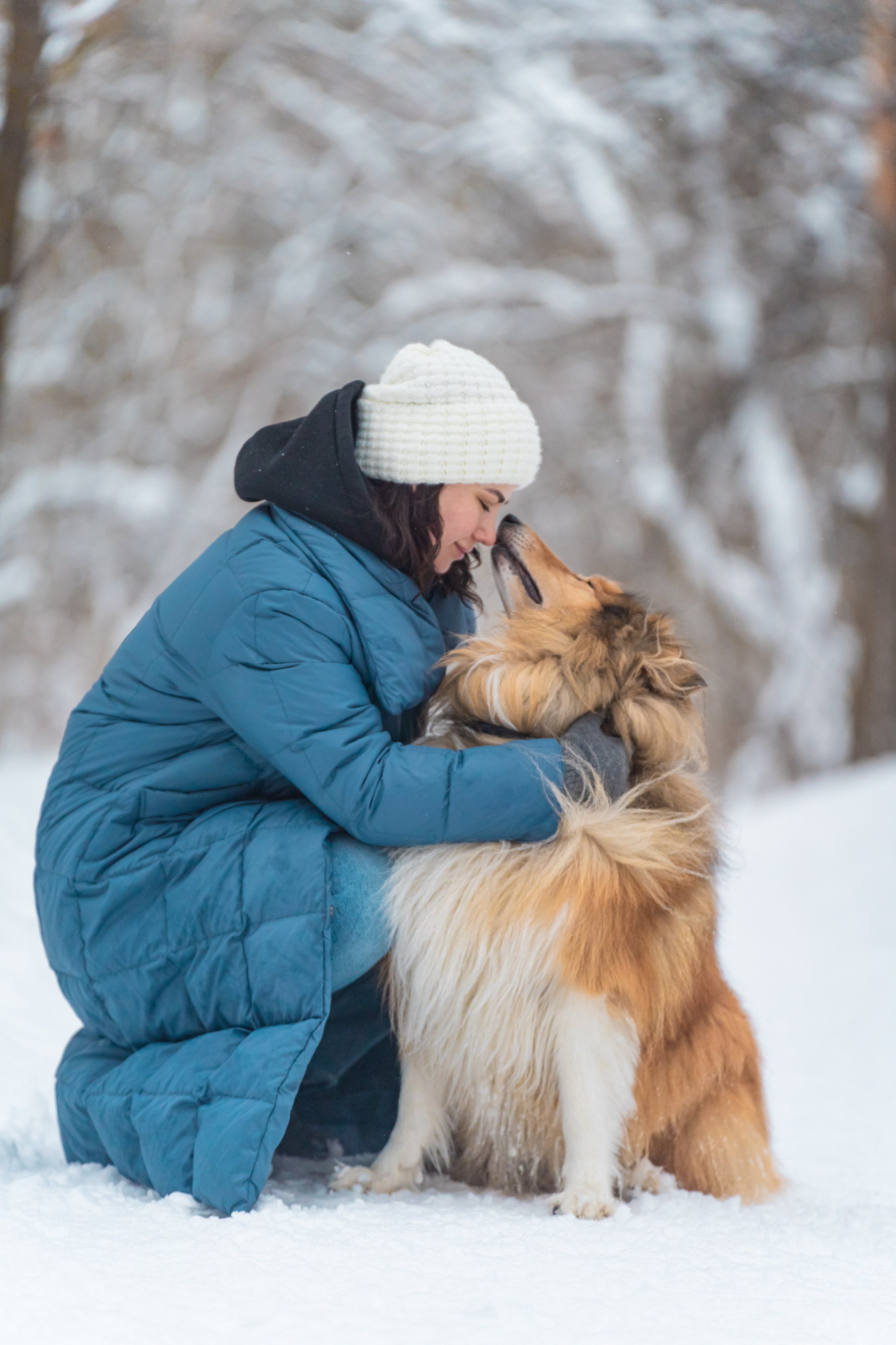 Елена, Виктор, Никита и колли Рафаэль. Фотограф в Москве Ленарская Дарья