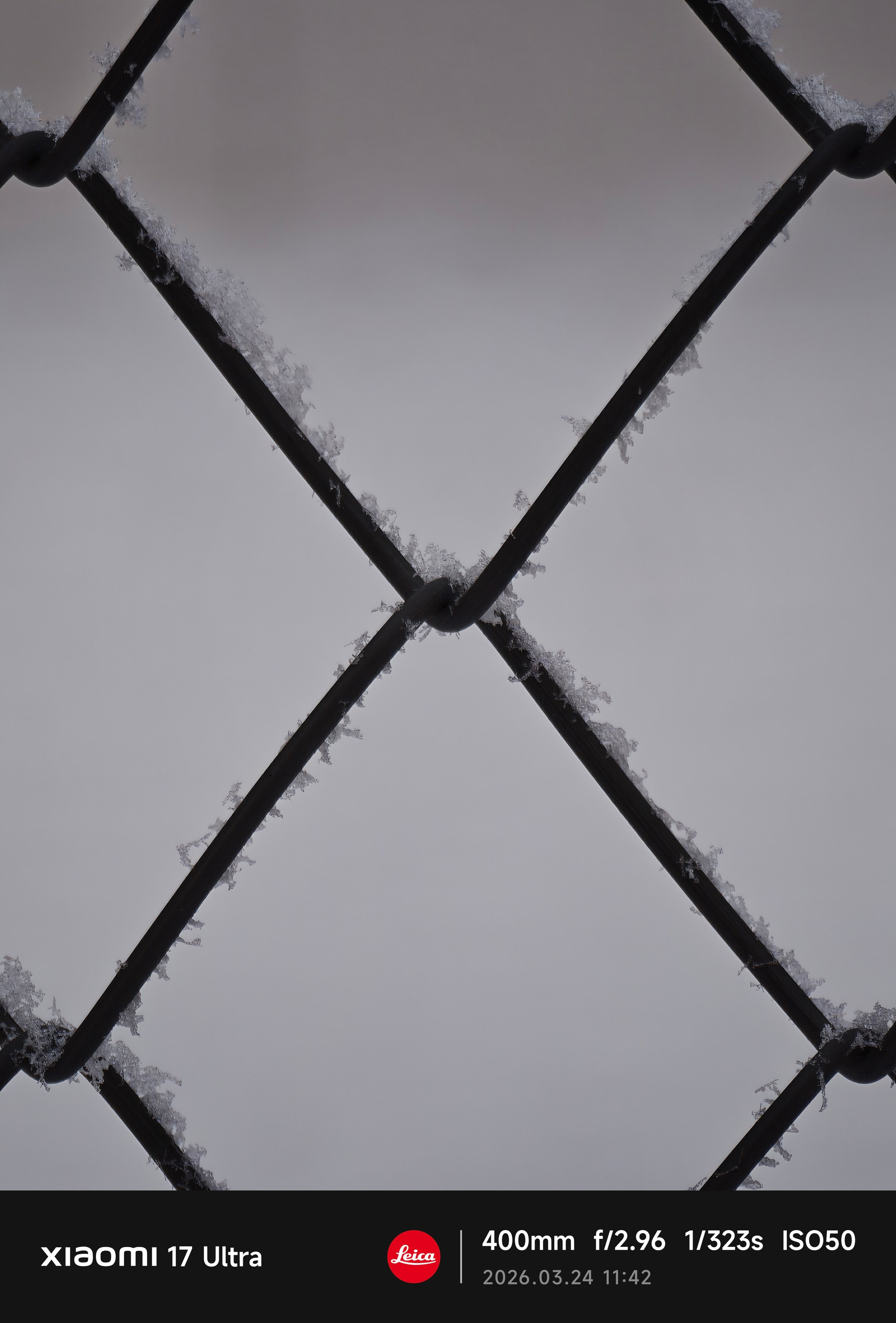 Макрофотография Снято на смартфон XIaomi 17 Ultra