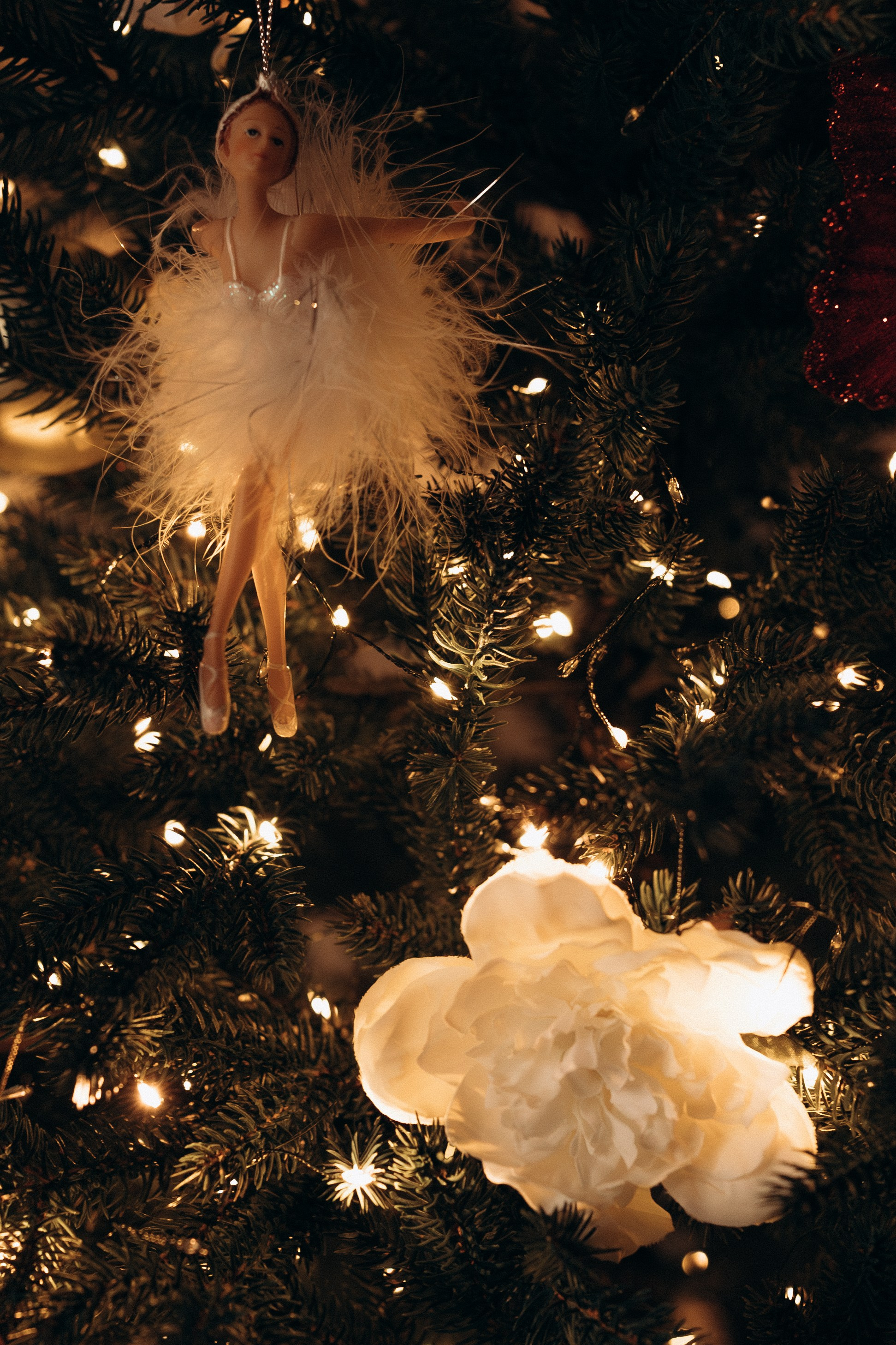 Семейные фотосессии (в студии, на улице или у вас дома). Фотограф Антонина Знак. Семейные фотосессии. Москва и МО