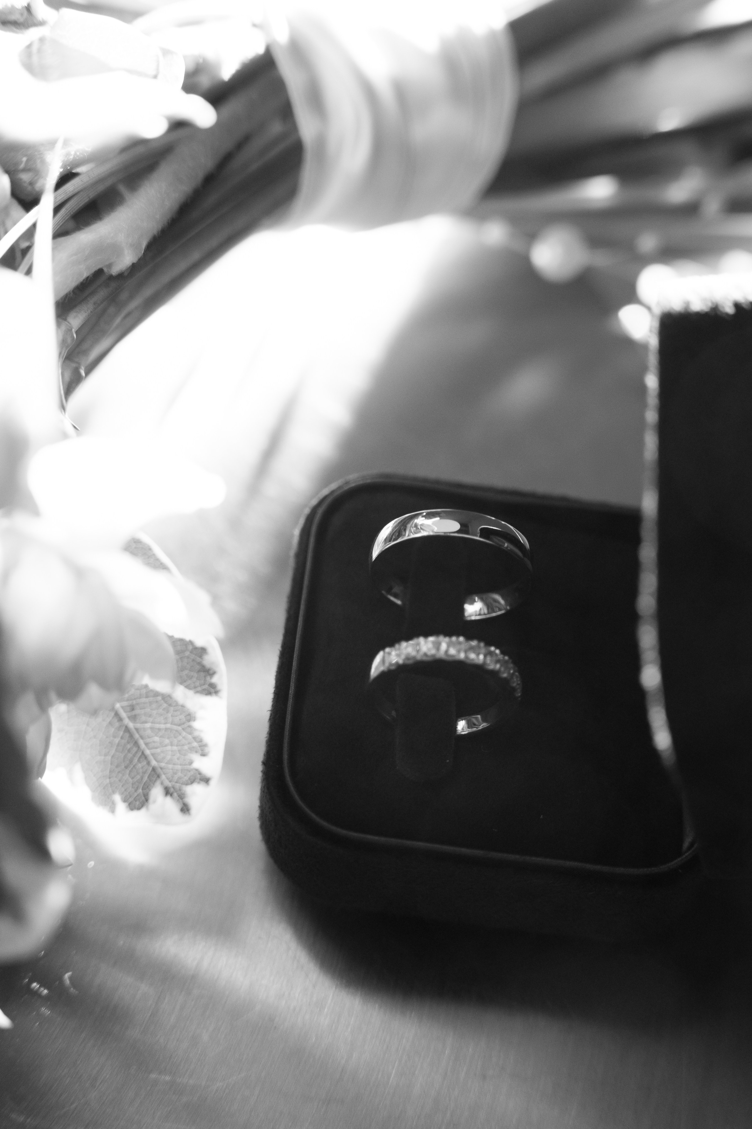 А&О Прогулка + ЗАГС. Свадебный, репортажный, семейный фотограф Елена Брюхова