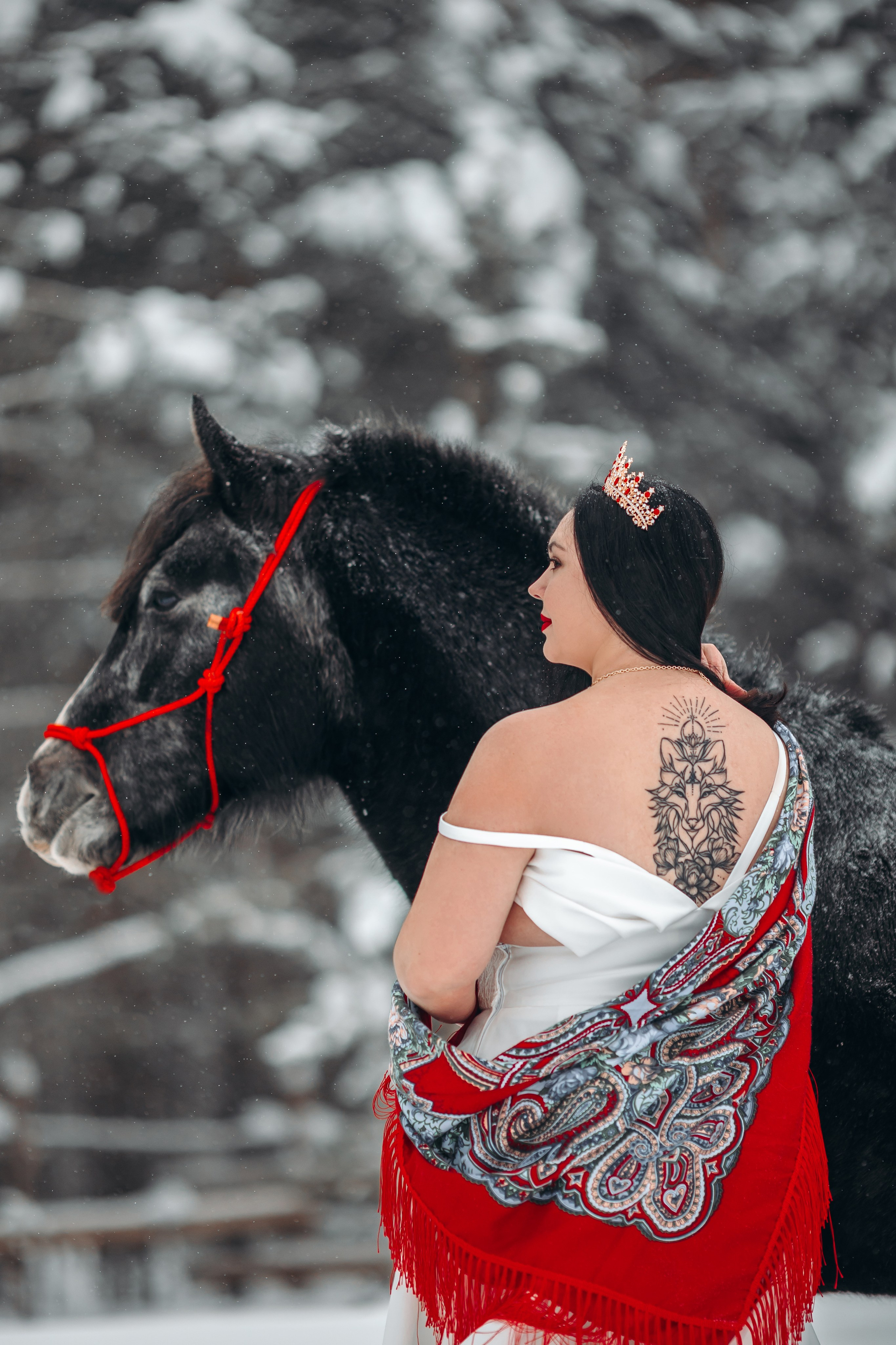 Яблоки на снегу. Анна Молчанова конный фотограф в Тюмени | фотосессии с лошадьми Тюмень