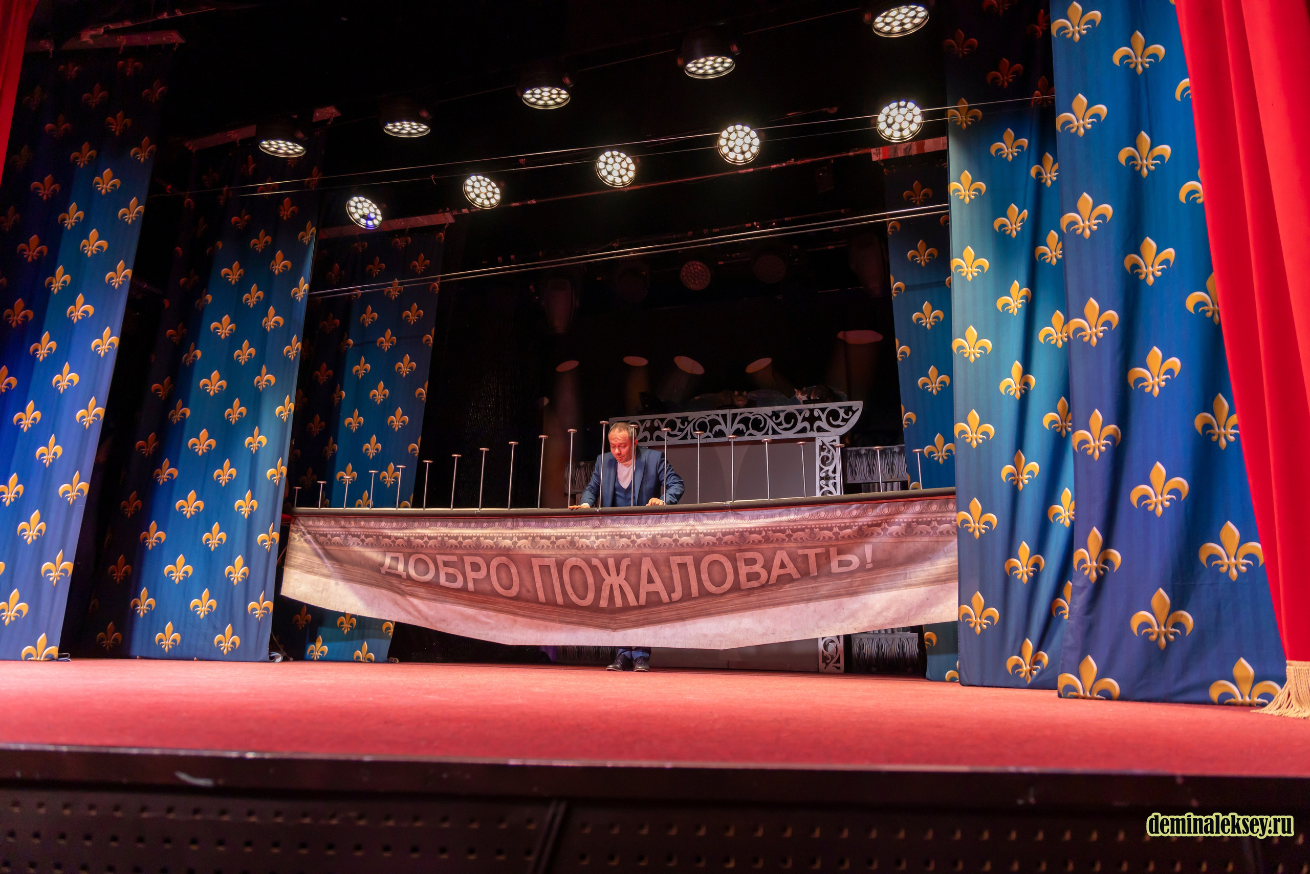 Театр кошек Куклачева 26 февраля 2025. Репортажный, семейный и студийный фотограф в Москве Демин Алексей