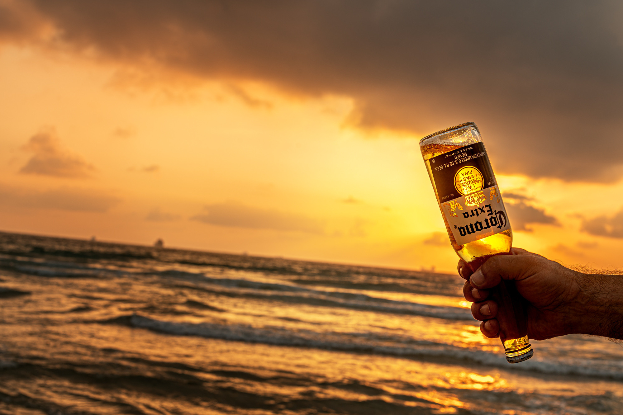 Drinks. Мария Абаза, фотограф. Реховот, Израиль