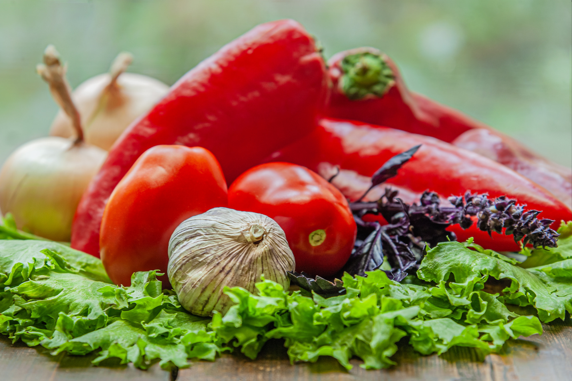 Food. Мария Абаза, фотограф. Реховот, Израиль