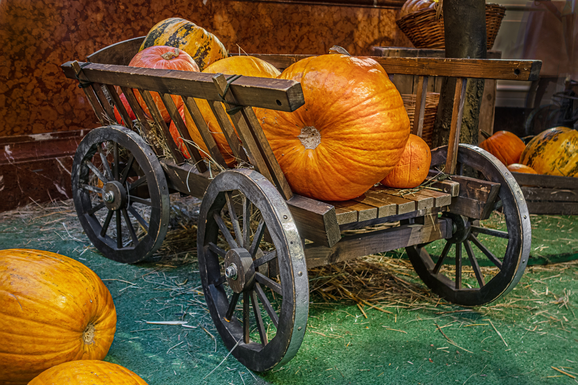 Food. Мария Абаза, фотограф. Реховот, Израиль