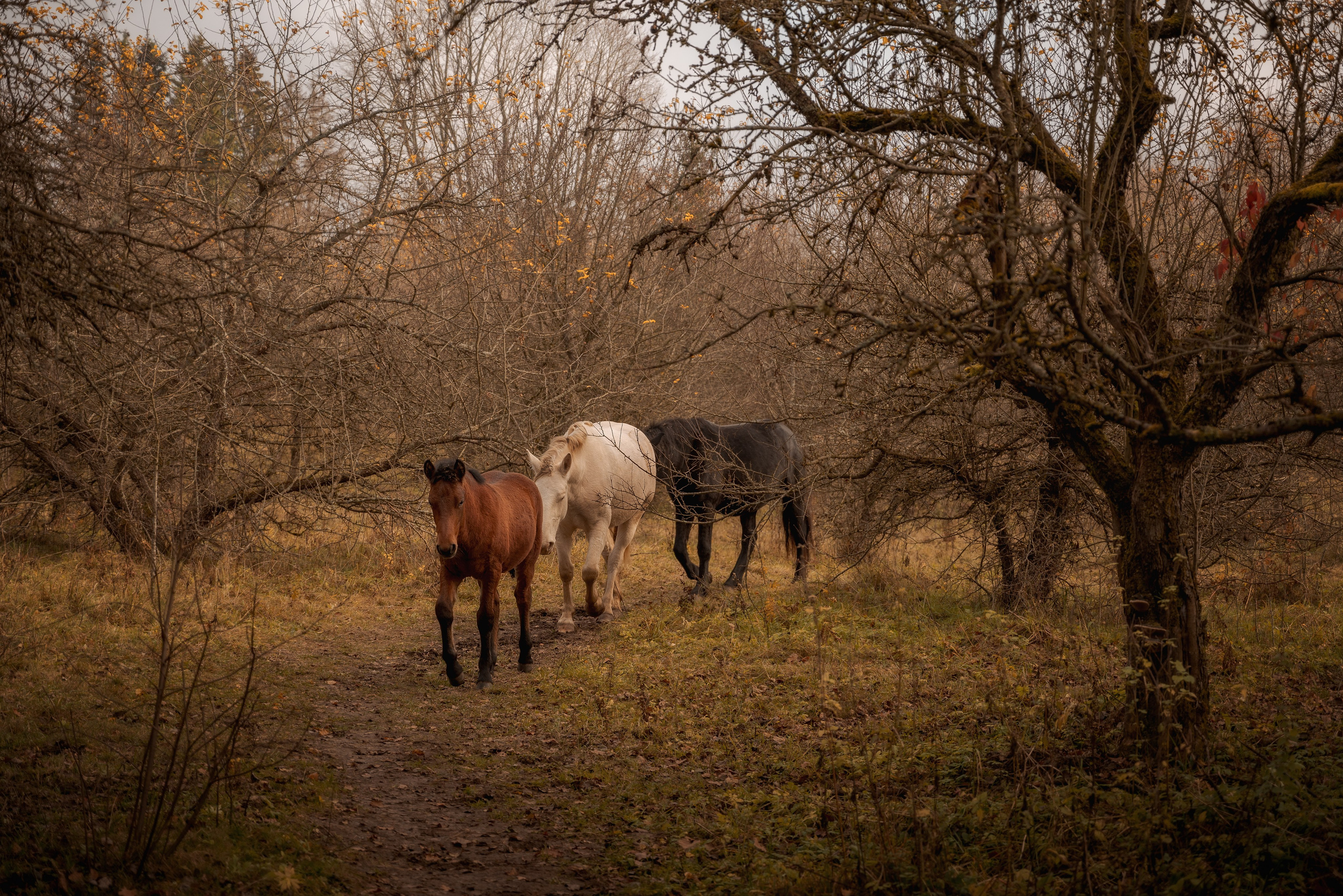 Места. Фотограф в Минске Дарья Кончакова