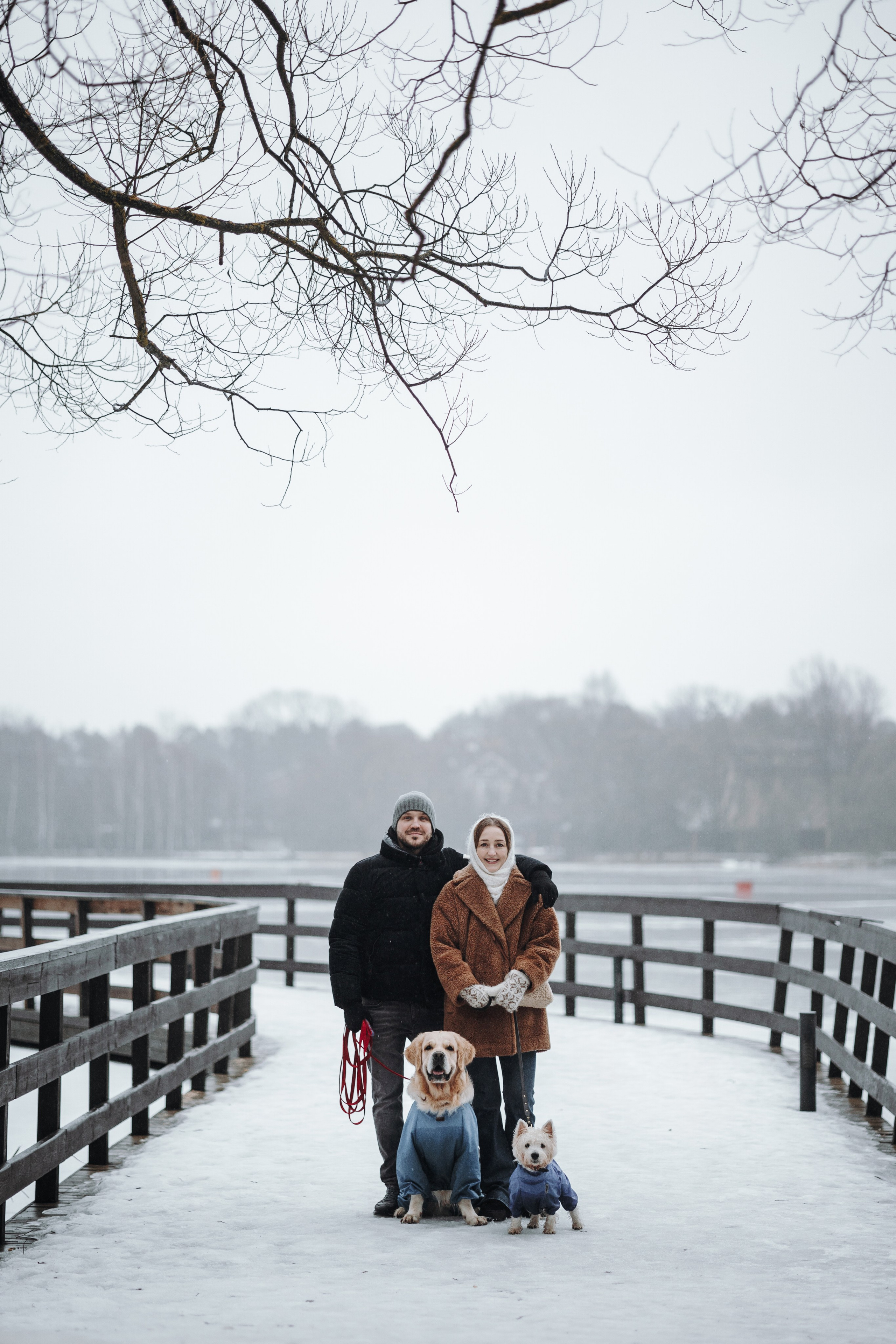 Шелби, Ватсон и ребята. Фотограф — Анималист | Санкт-Петербург