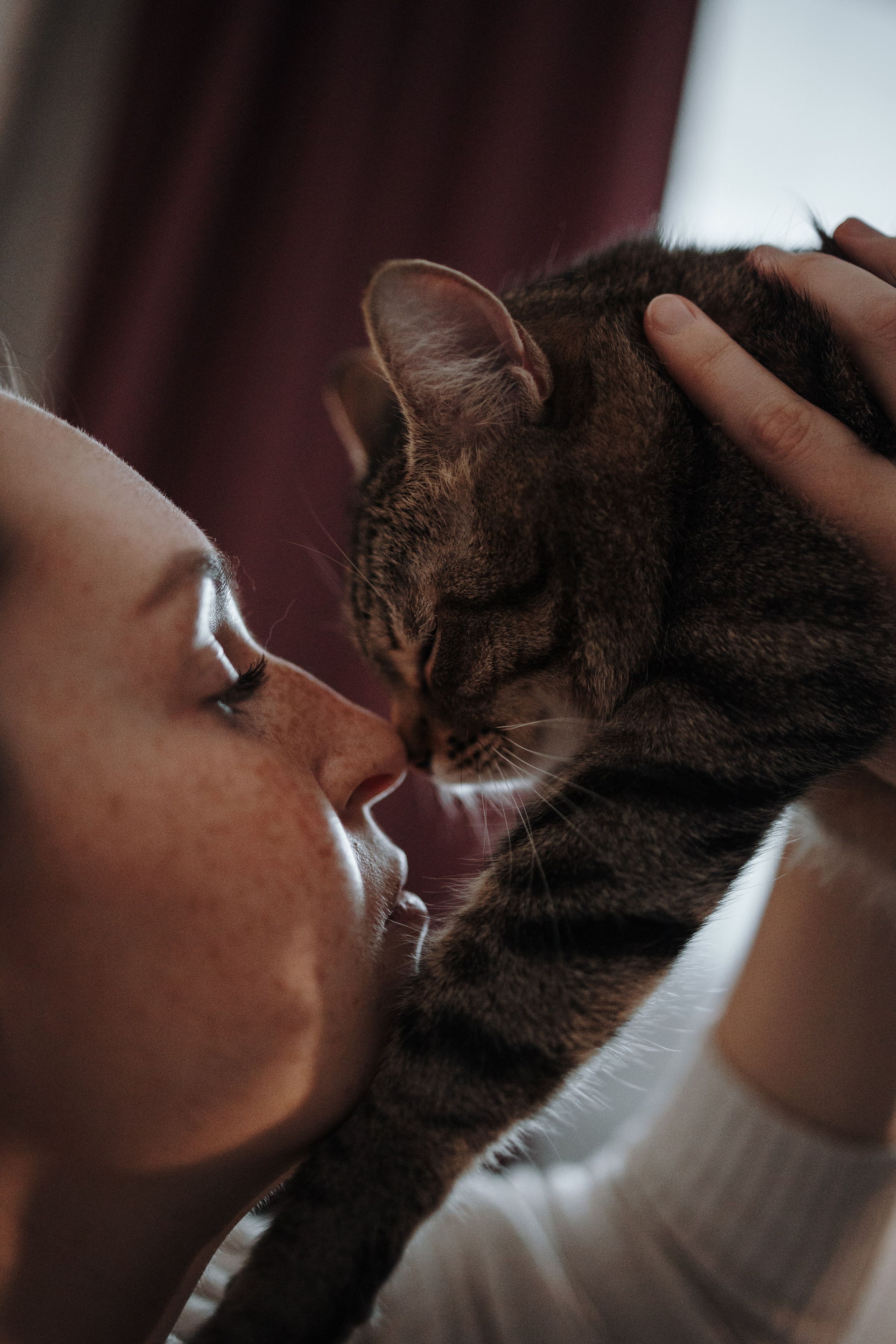 Мася и ее семья. Фотограф — Анималист | Санкт-Петербург