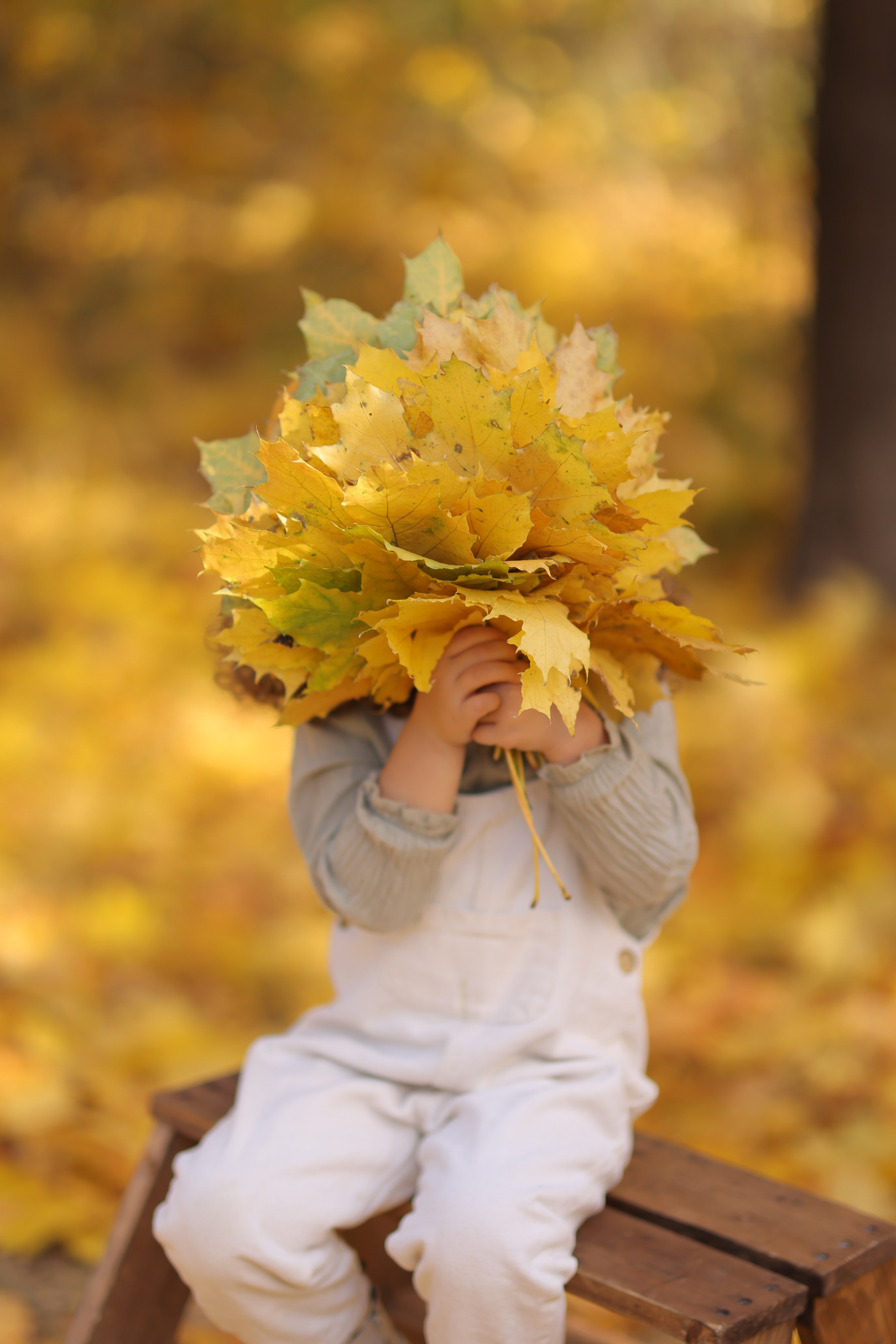 Семейная осенняя фотосессия — Светлана, Аслан и Лора. Анна Бондарева — детский и семейный фотограф, обучение фотографии. Кавказские Минеральные Воды, Пятигорск