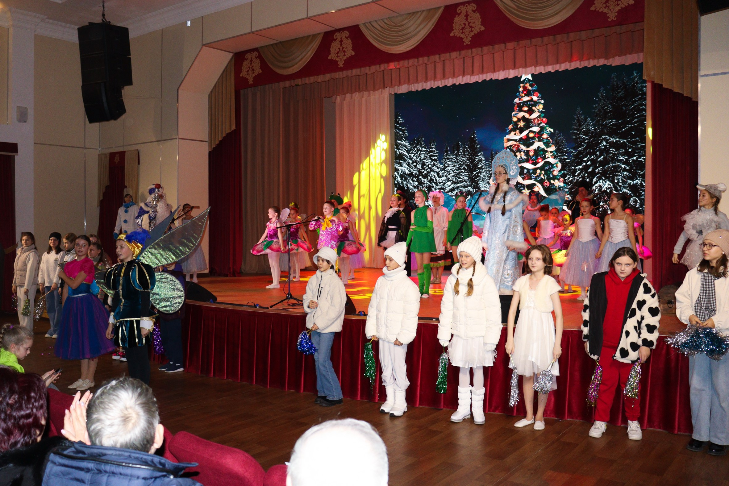 Новогодний концерт Шишли-Мышли