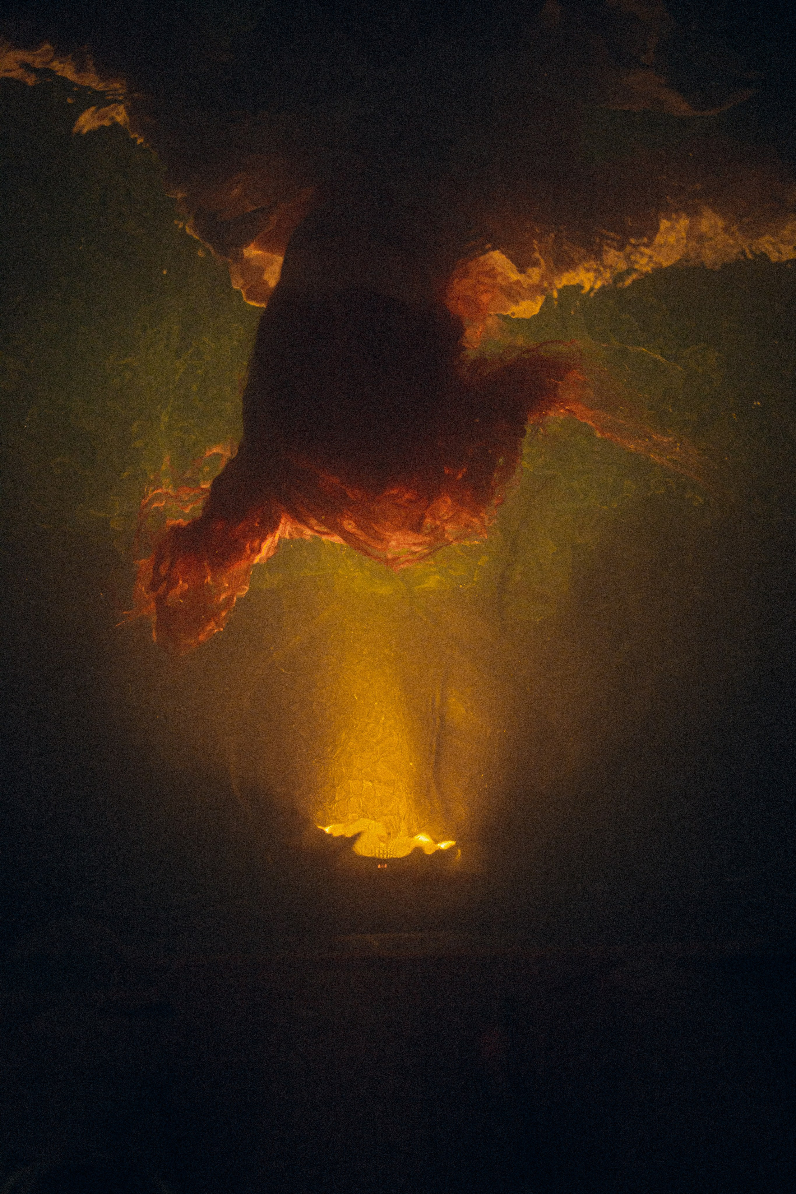 Portraits. Продюсер