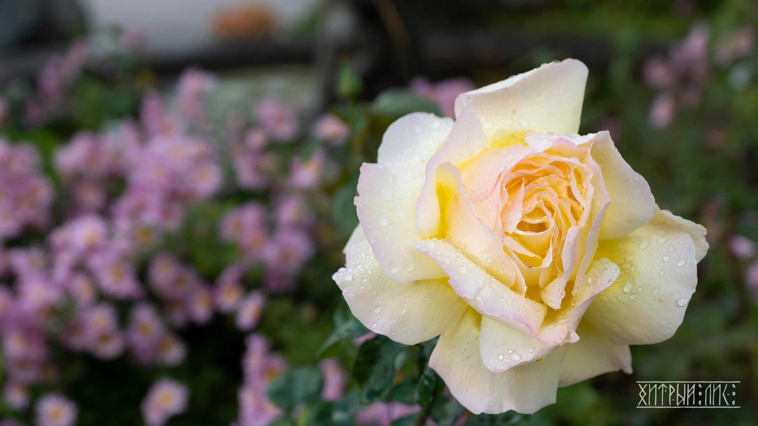 Крым. Фотограф-путешественник Самойлов Максим «Sly Fox»