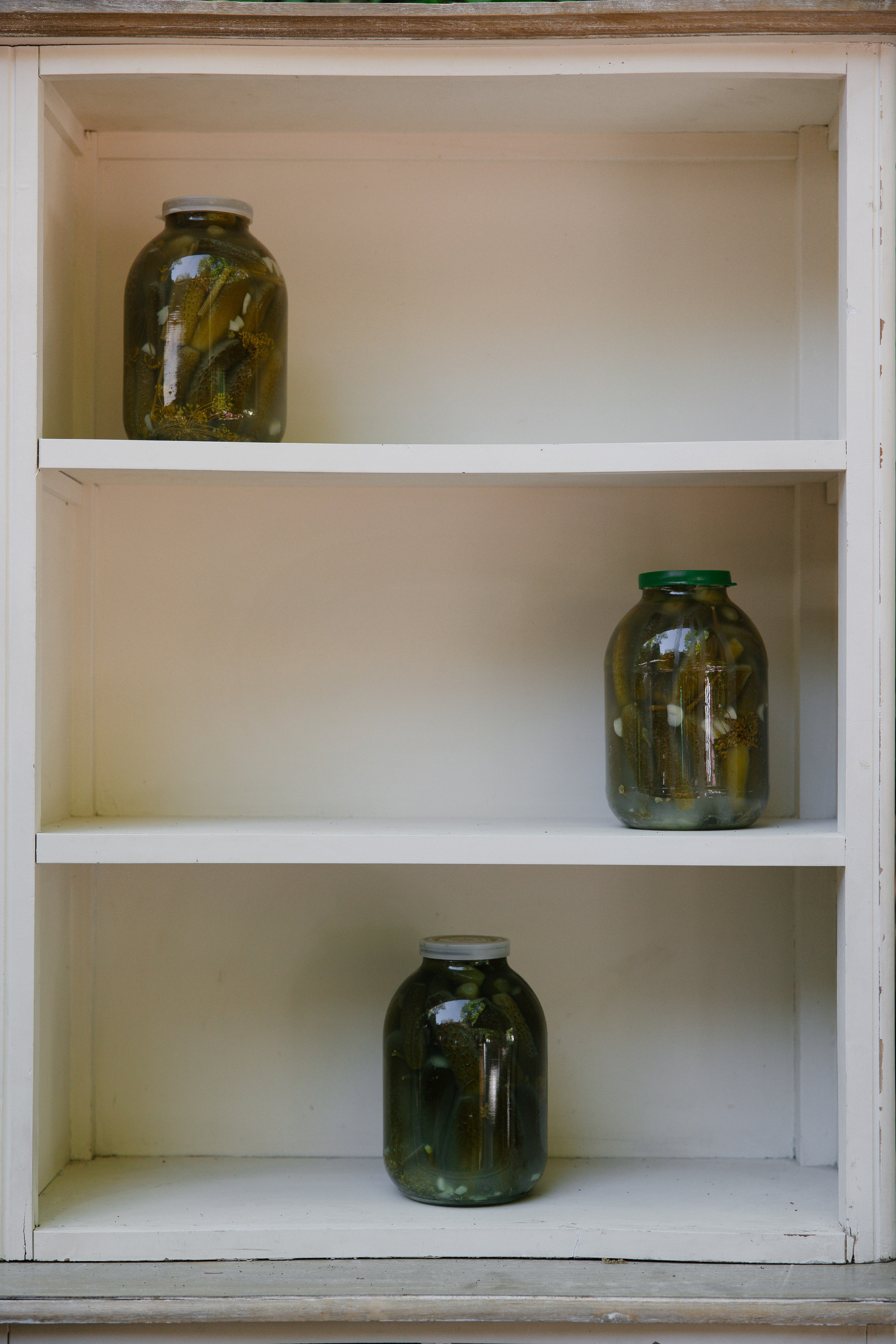 Максим и Александра. Свадебный фотограф Полина Панина