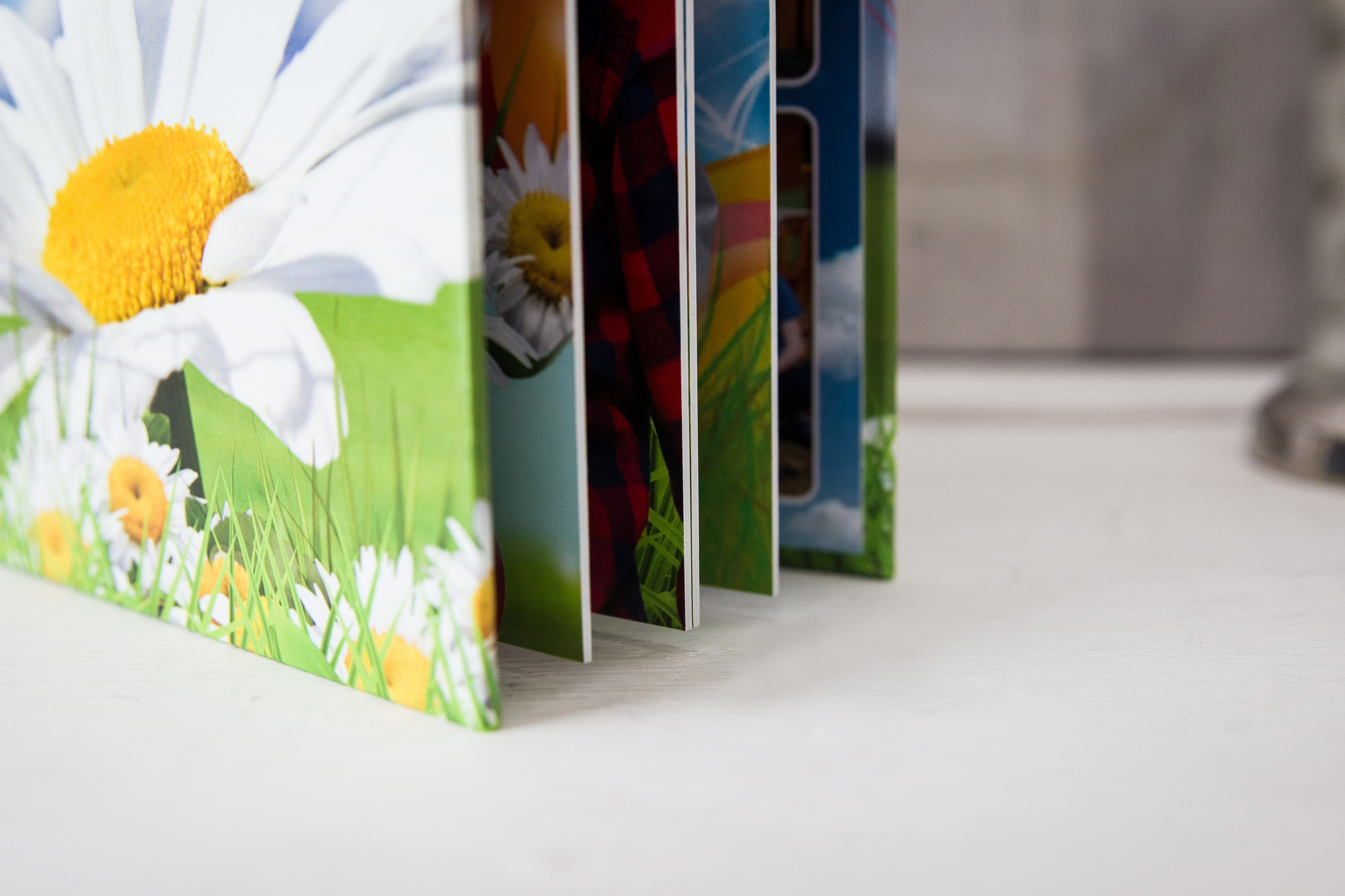 Альбомы для детских садов. Современные Выпускные Альбомы в Ростове-на-Дону