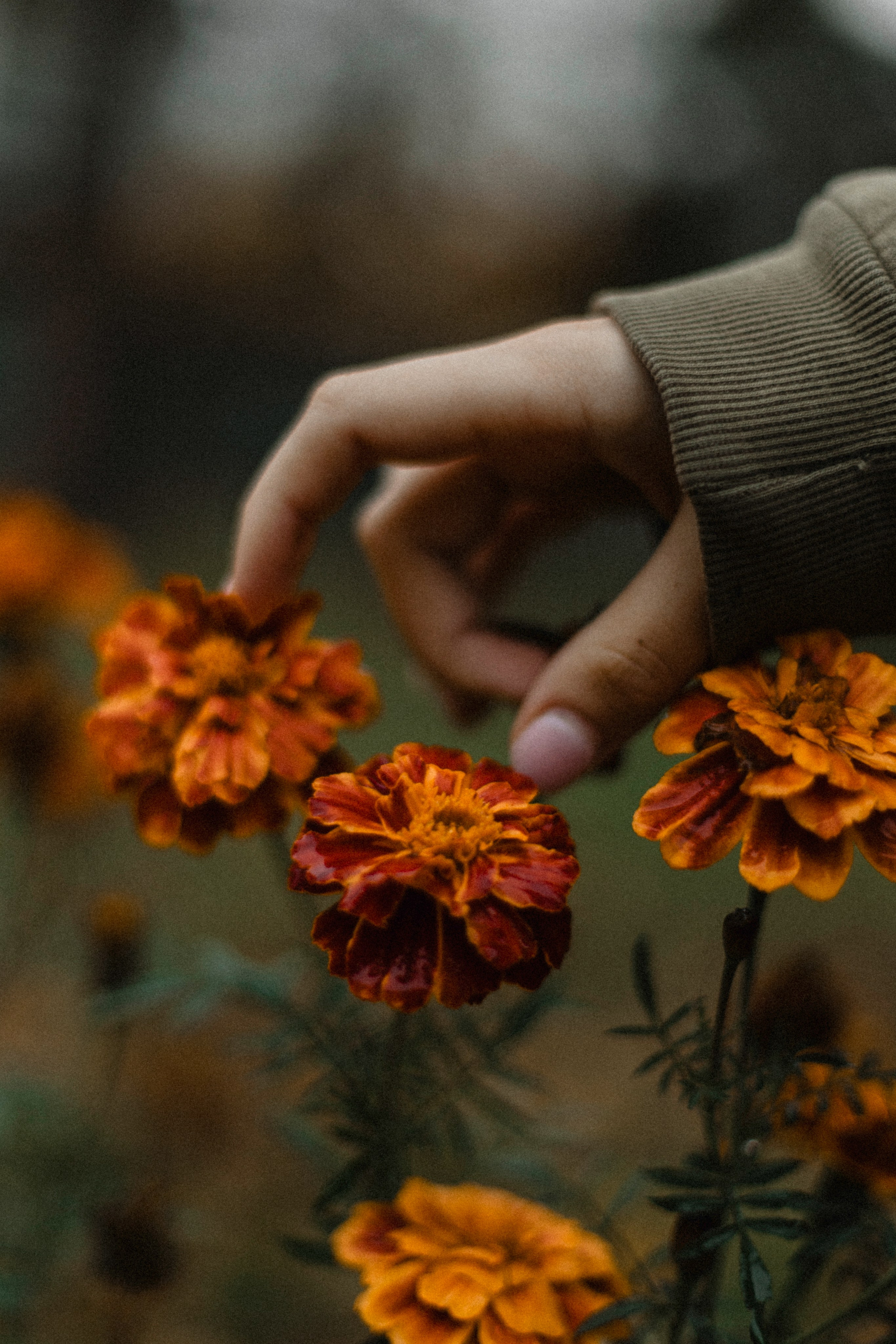 Осенний день. Фотограф в Обнинске и Калуге Анастасия Антохина