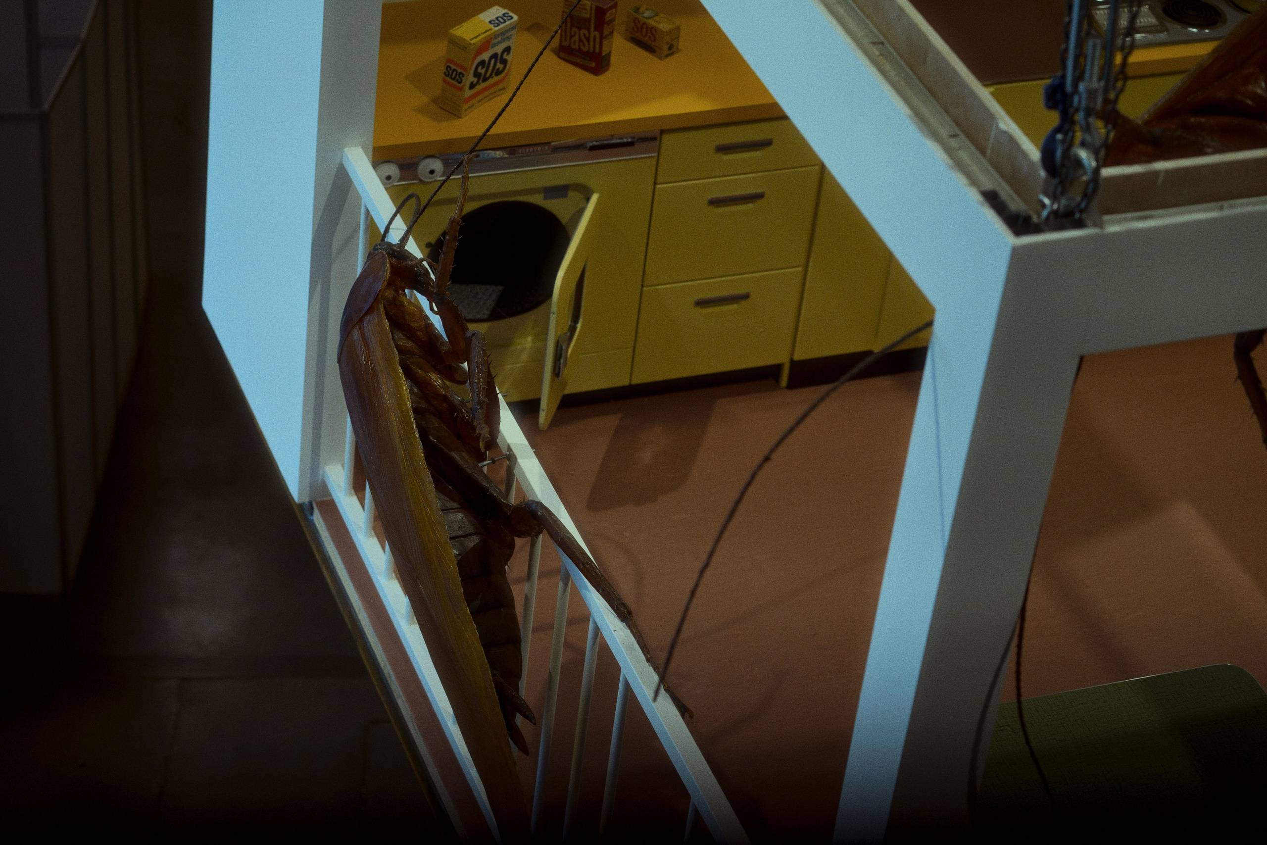 Garage MCA / “Грядущий мир: экология как новая политика. 2030–2100”. Фотограф Юрин Евгений