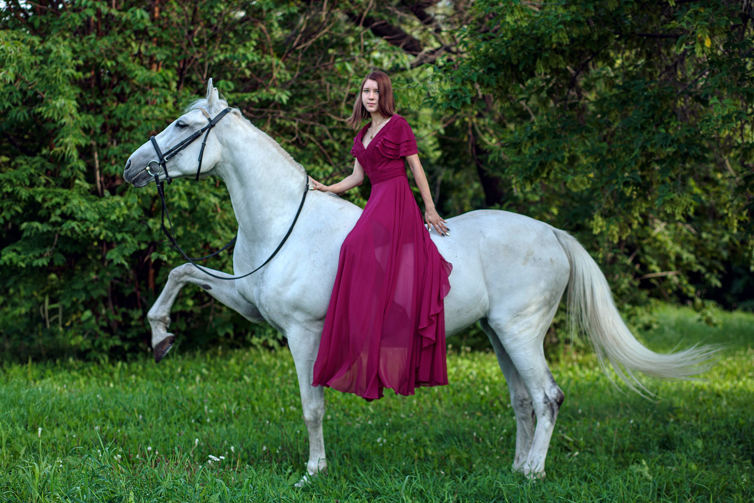 Красноярский ип-м. Конный фотограф в Красноярске — Любовь Похабова