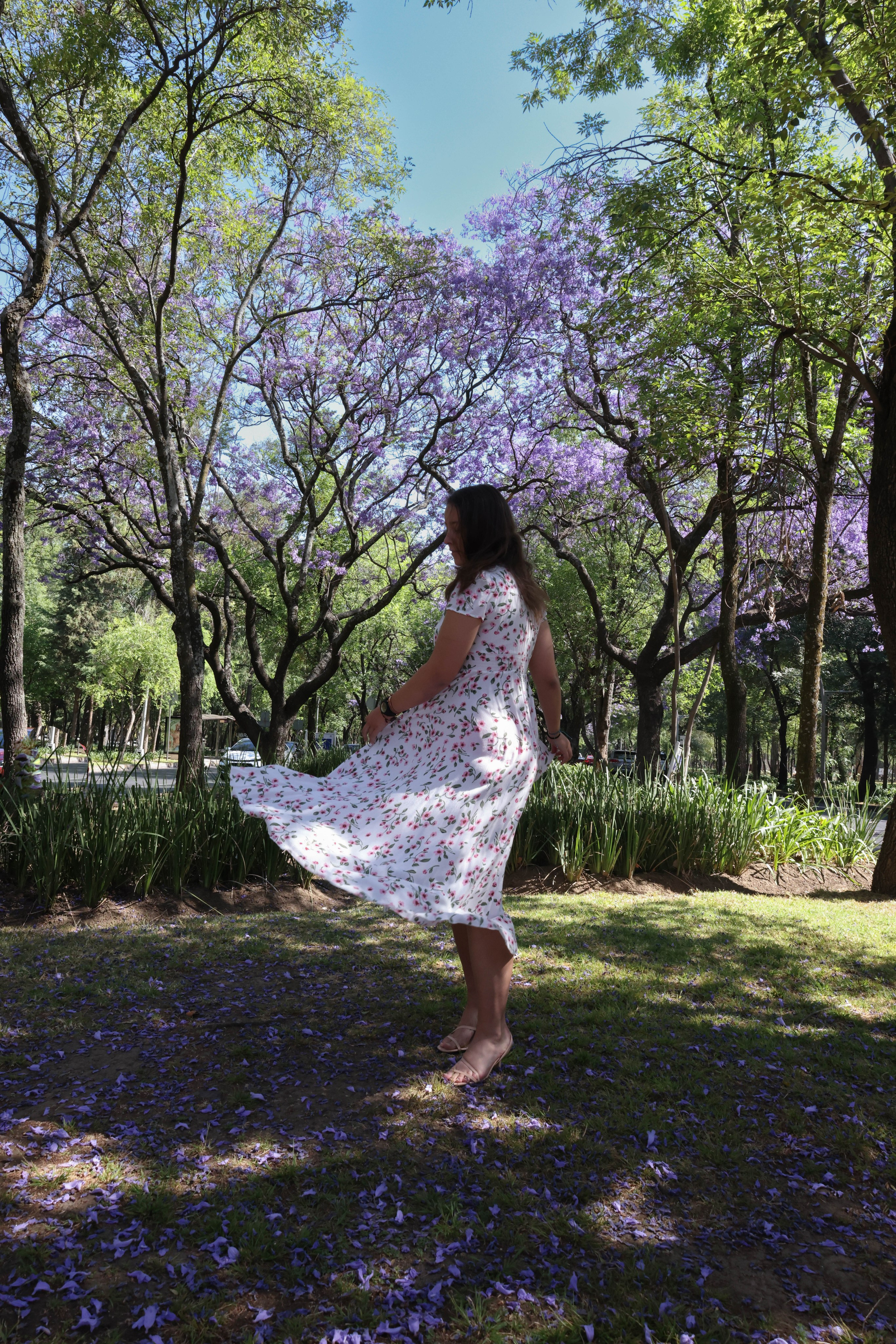 Фотоэтюд. Kateserbina