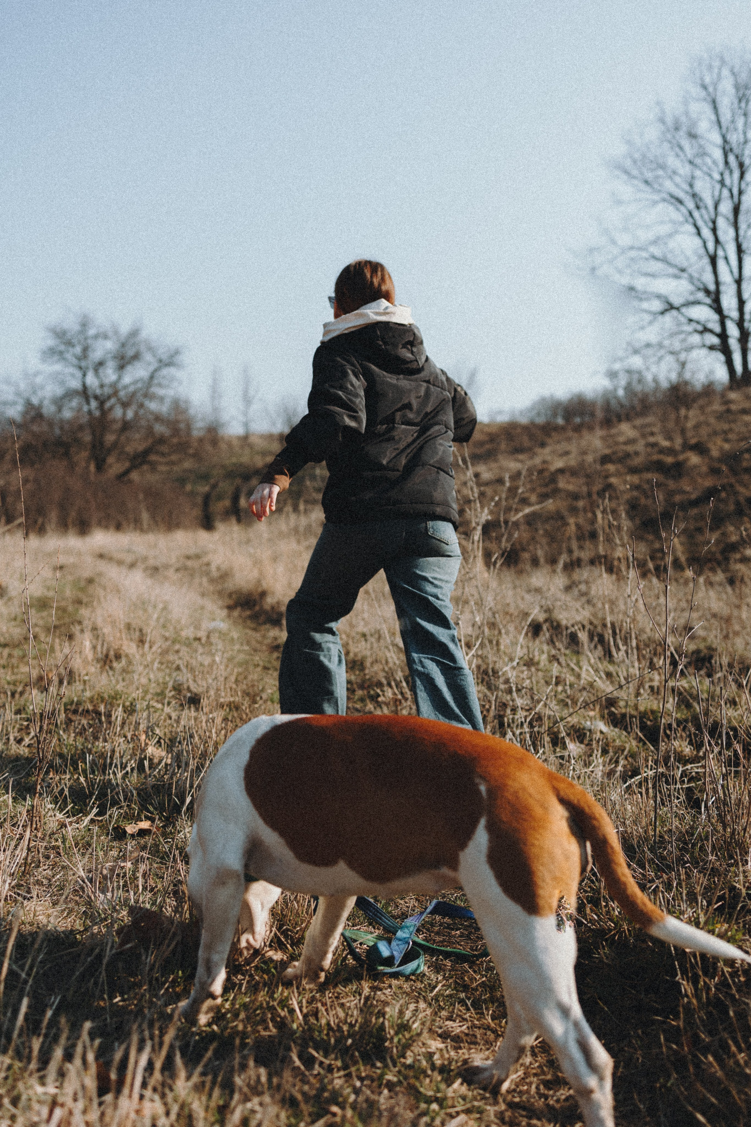 Лера, Ума и Винни. Фотограф — анималист Светлана Кысса|фотограф собак в Краснодаре и Нижнем Новгороде