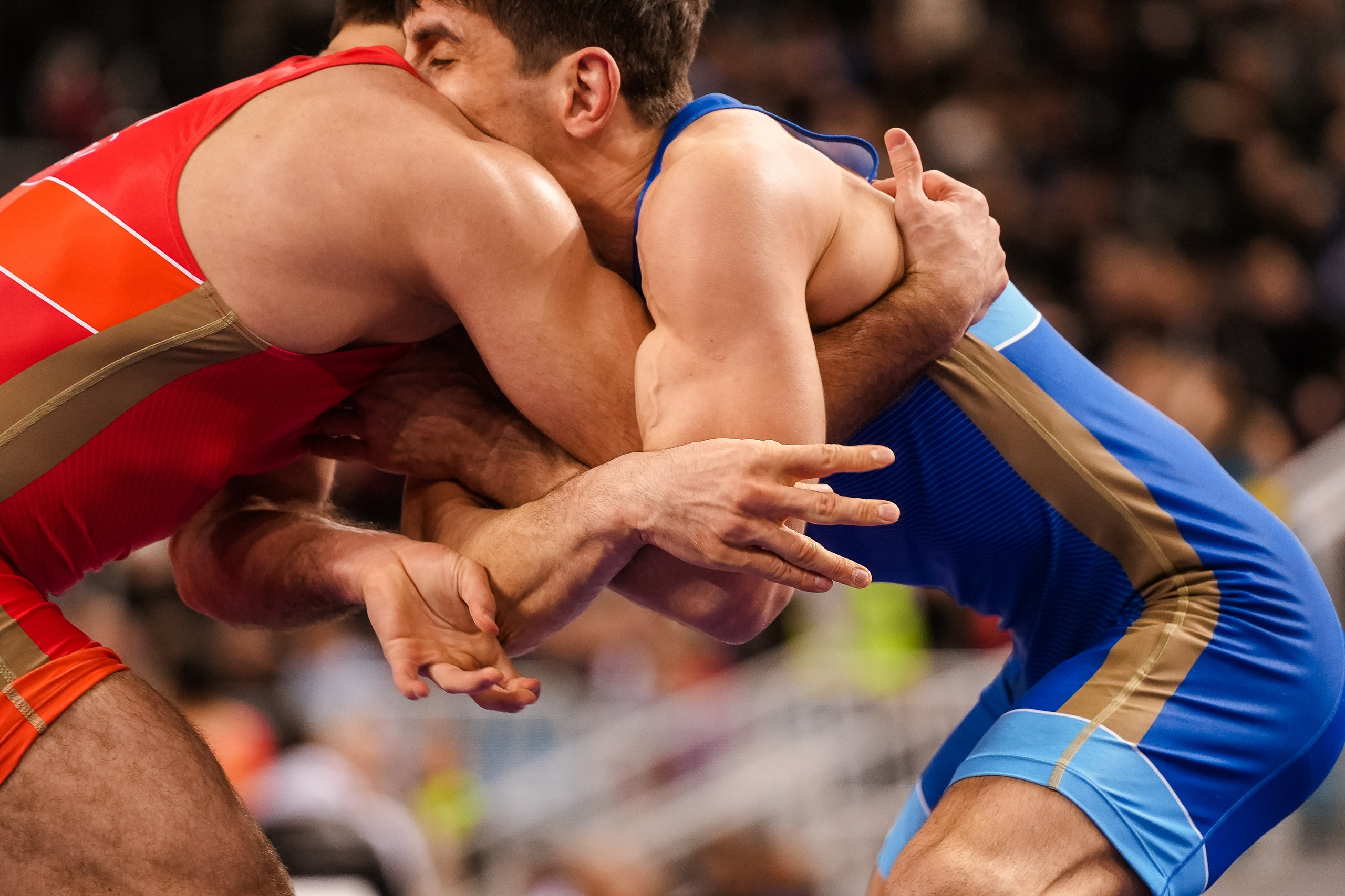 Кубок Ивана Ярыгина 2024 фото / Ivan Yarygin Cup 2024 photos. Фотограф Анна Герман. Красноярск