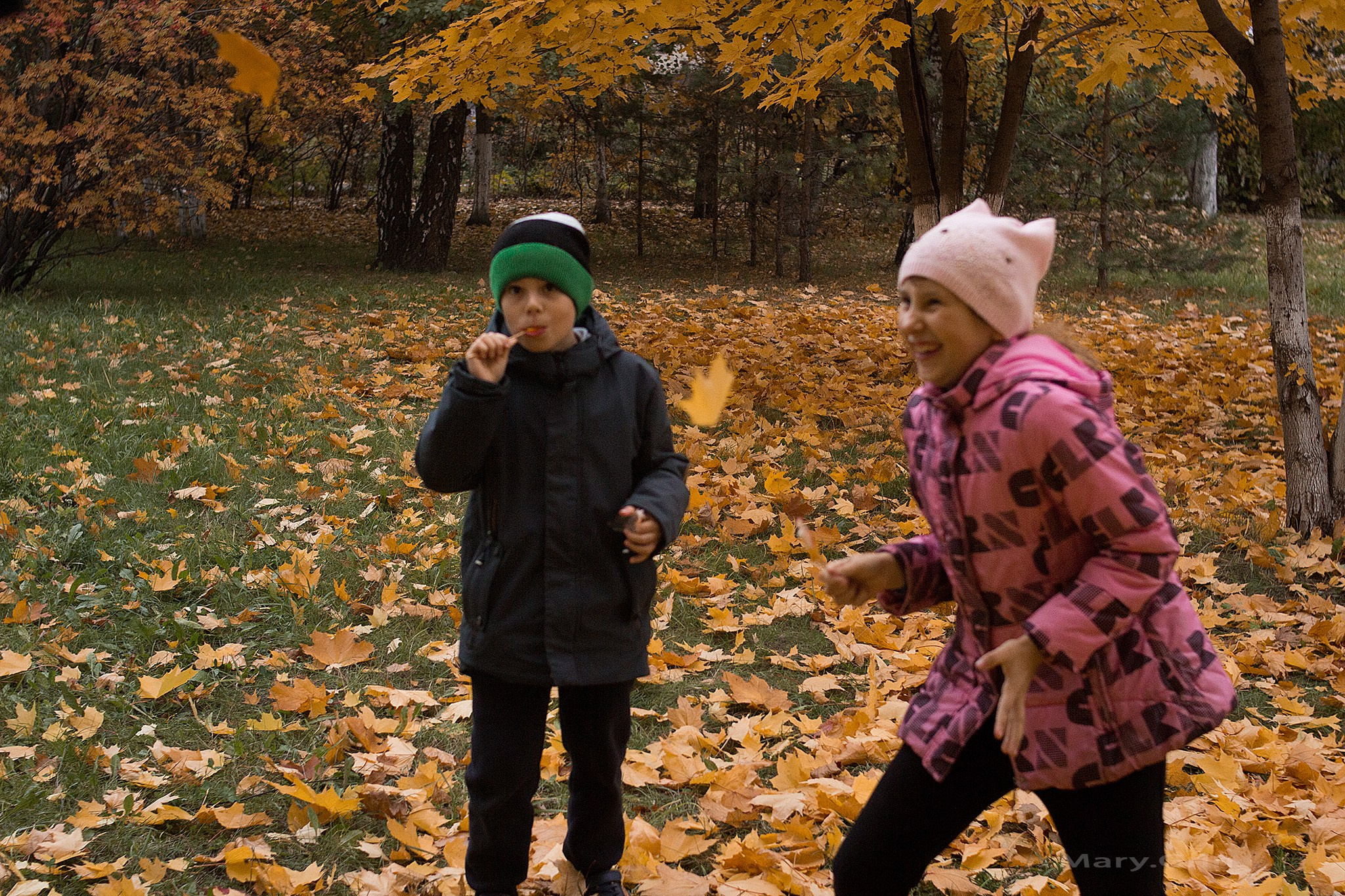Осенние забавы. Детский и семейный фотограф, фотограф мероприятий Нижний Новгород