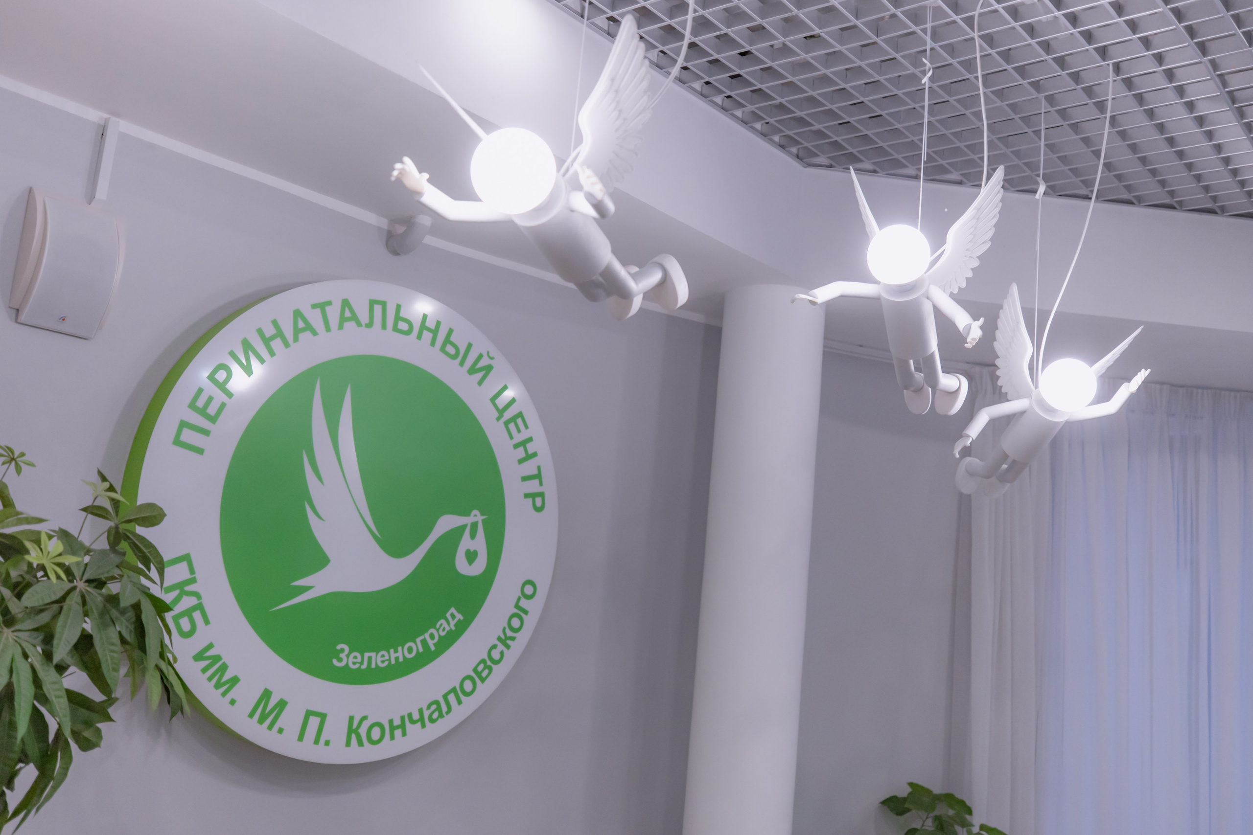 Выписка Ариши. Детский и семейный фотограф Евгения Вахнеева Москва Зеленоград