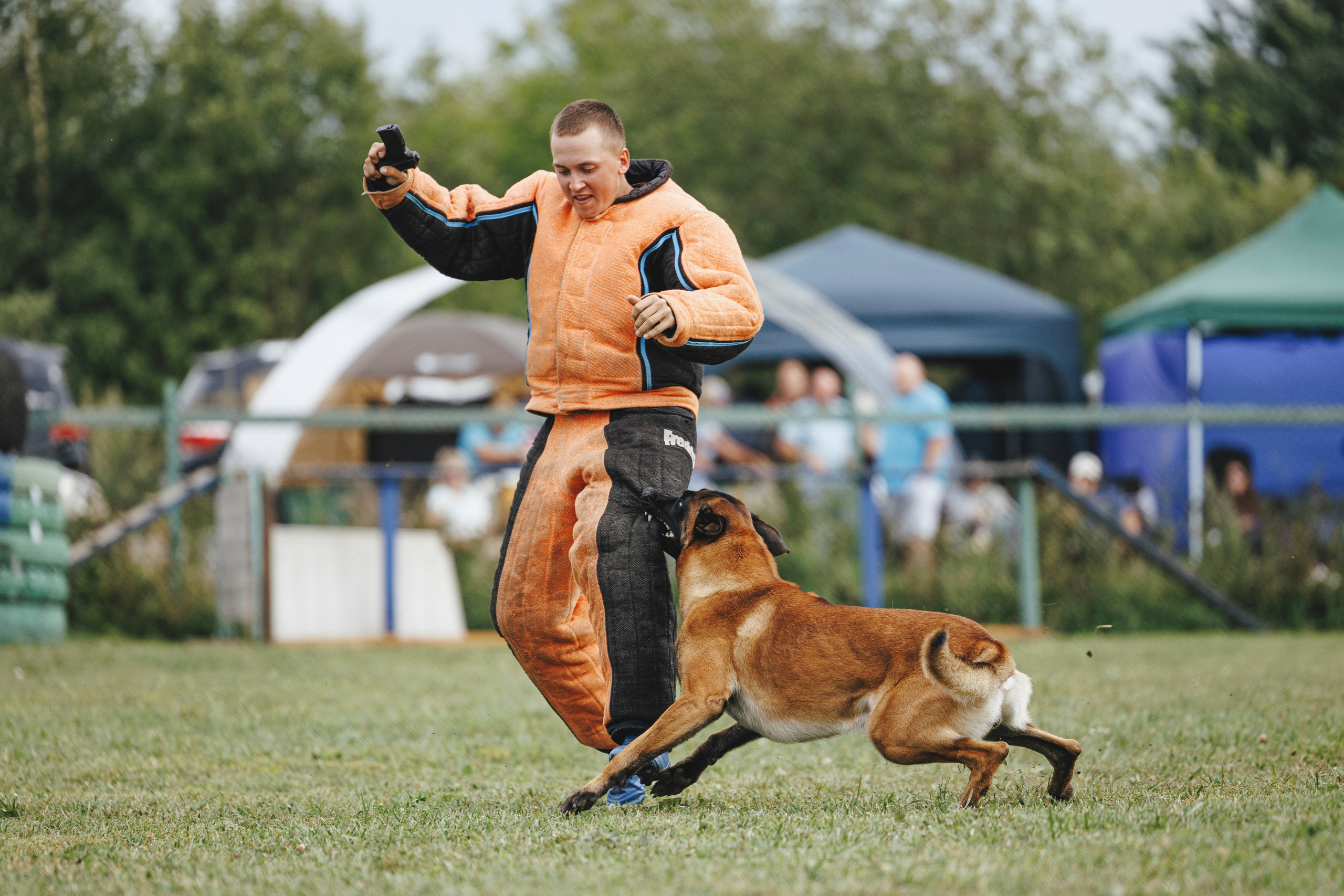 08.08.25-10.08.25 ЧР по мондьорингу г. Вологда. Фотограф-анималист Анна Маринич