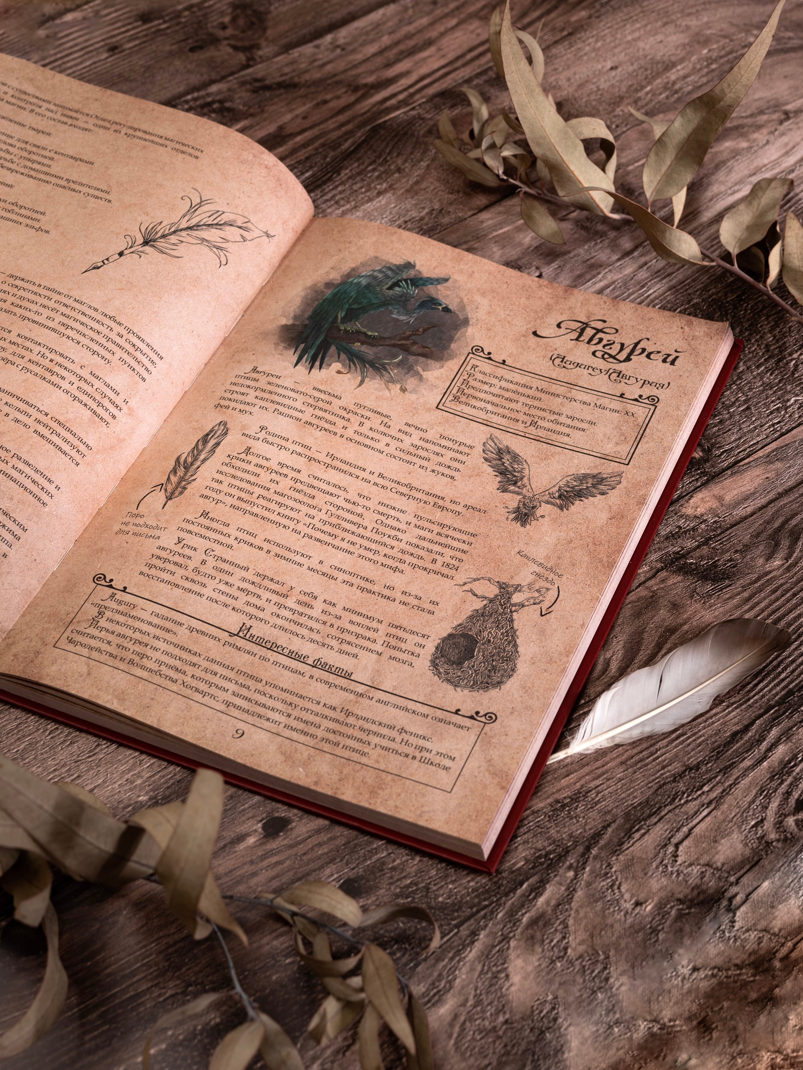 Книги по Гарри Поттеру. Предметный фотограф, фото для маркетплейсов Пятигорск, КМВ