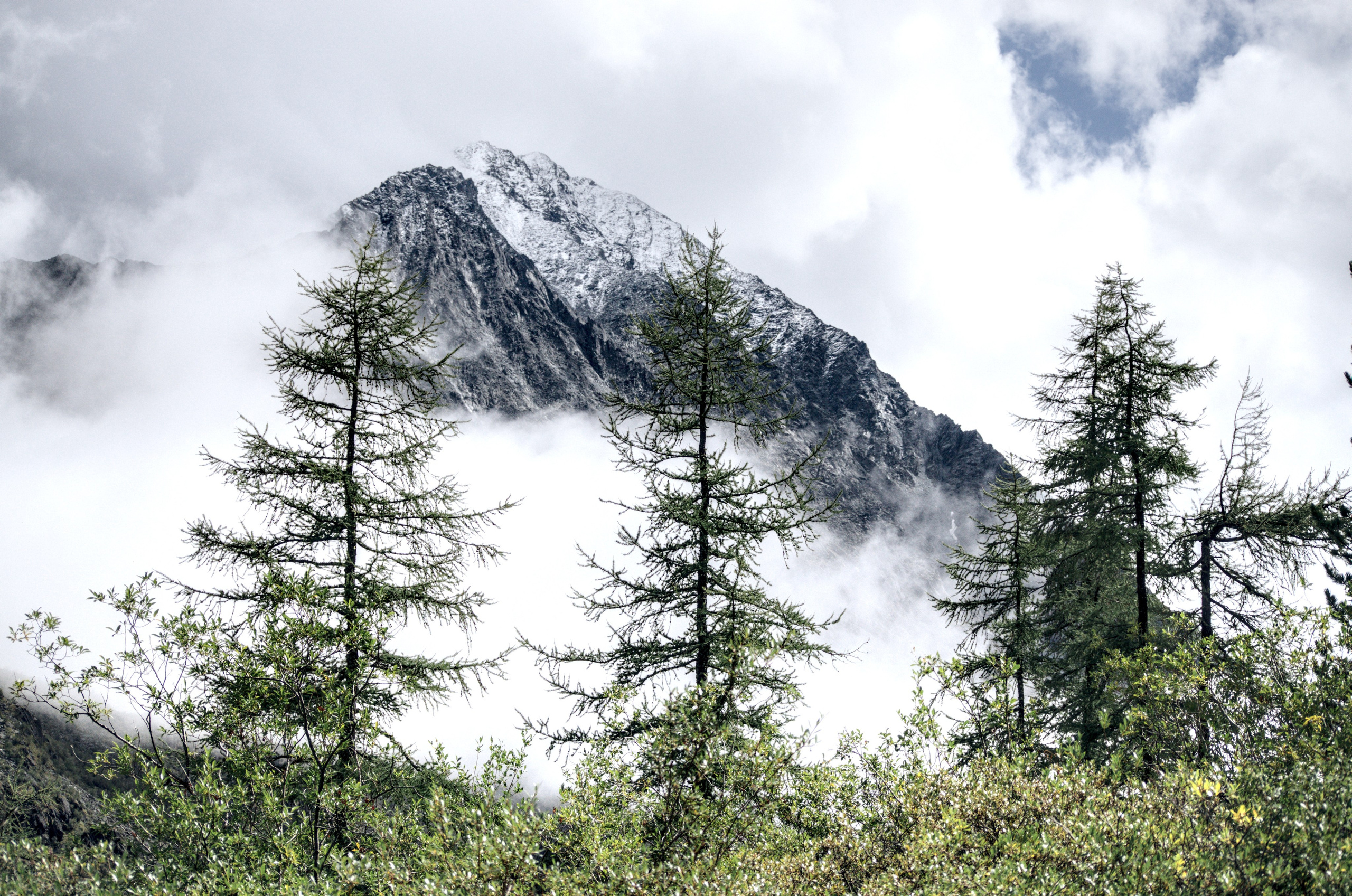 Алтай. Фотограф анималист, пейзажист, спортивные мероприятия. Новосибирск