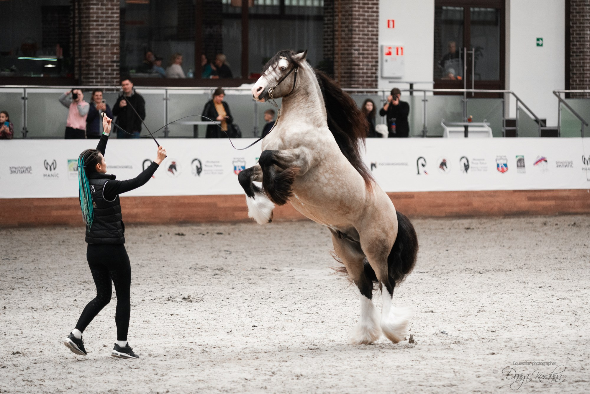 8-я международная выставка Конная Россия. Конный фотограф Куракина Дарья • Фотосессии с лошадьми
